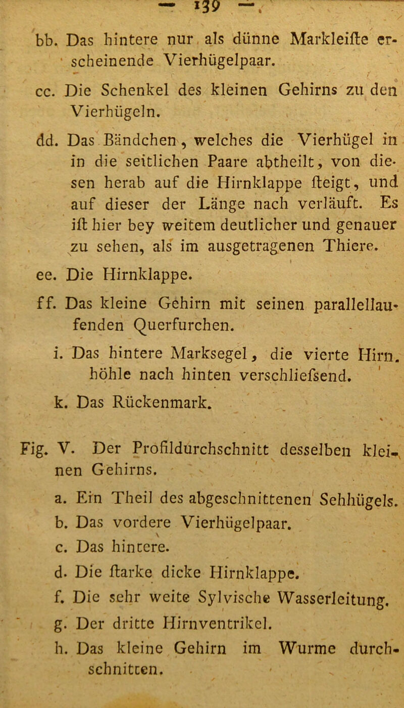 bb. Das hintere nur als dünne Markleifle er- scheinende Vierhügelpaar. cc. Die Schenkel des kleinen Gehirns zu den Vierhügeln. dd. Das Bändchen, welches die Vierhügel in in die seitlichen Paare abtheilt, von die- sen herab auf die Hirnklappe fleigt, und auf dieser der Länge nach verläuft. Es ift hier bey weitem deutlicher und genauer zu sehen, als im ausgetragenen Thiere. . ’ ' ♦ . ee. Die Hirnklappe. ff. Das kleine Gehirn mit seinen parallellau- fenden Querfurchen. i. Das hintere Marksegel, die vierte Hirn, höhle nach hinten verschliefsend. k. Das Rückenmark. ' * . * . ' ~ ’ » Fi g. V. Der Profildurchschnitt desselben kl ei-, nen Gehirns. a. Ein Theil des abgeschnittenen Sehhügels. b. Das vordere Vierhügelpaar. \ c. Das hintere. d- Die Barke dicke Hirnklappe. f. Die sehr weite Sylvische Wasserleitung. g. Der dritte Hirnventrikel. h. Das kleine Gehirn im Wurme durch- schnitten. * ,