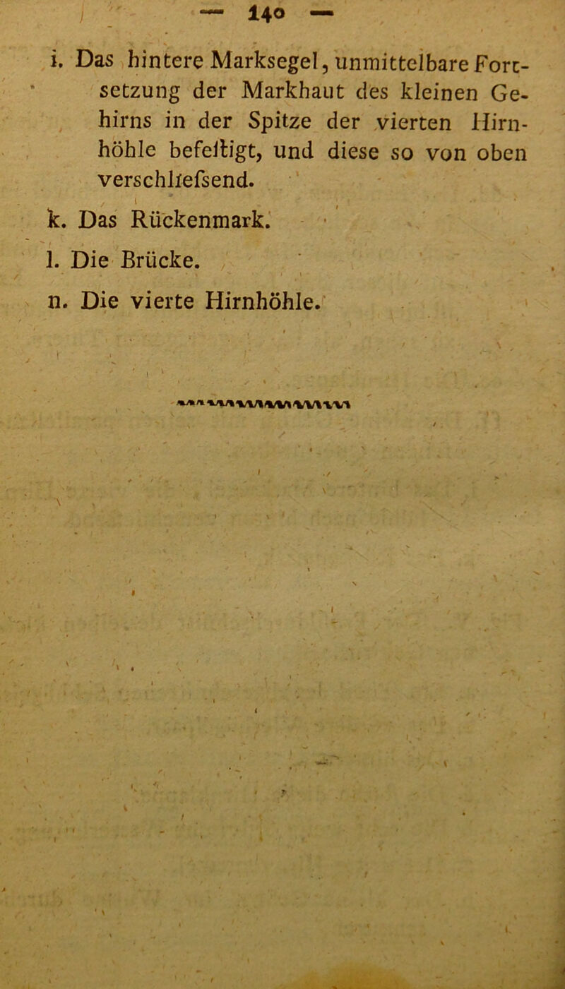 i. Das hintere Marksegel, unmittelbare Fort- setzung der Markhaut des kleinen Ge- hirns in der Spitze der vierten Hirn- höhle befeitigt, und diese so von oben verschliefsend. , . i k. Das Rückenmark. l. Die Brücke. * . • > .1 » - n. Die vierte Hirnhöhle. i