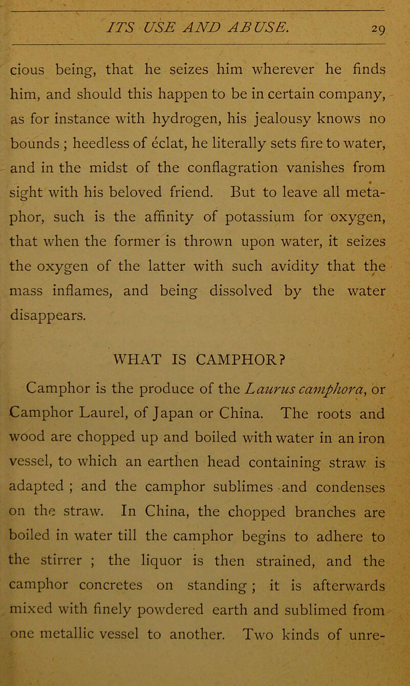 cious being, that he seizes him wherever he finds him, and should this happen to be in certain company, - as for instance with hydrogen, his jealousy knows no bounds ; heedless of eclat, he literally sets fire to water, and in the midst of the conflagration vanishes from • sight with his beloved friend. But to leave all meta- phor, such is the affinity of potassium for oxygen, that when the former is thrown upon water, it seizes the oxygen of the latter with such avidity that the mass inflames, and being dissolved by the water disappears. WHAT IS CAMPHOR? Camphor is the produce of the Launts camphoror Camphor Laurel, of Japan or China. The roots and wood are chopped up and boiled with water in an iron vessel, to which an earthen head containing straw is adapted ; and the camphor sublimes -and condenses on the straw. In China, the chopped branches are boiled in water till the camphor begins to adhere to the stirrer ; the liquor is then strained, and the camphor concretes on standing; it is afterwards mixed with finely powdered earth and sublimed from one metallic vessel to another. Two kinds of unre-