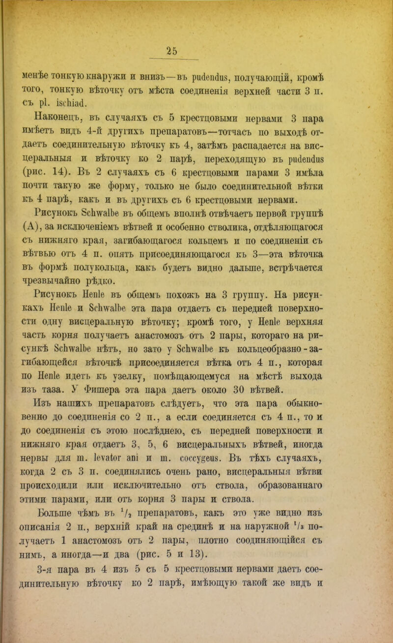 менѣе тонкую кнаружи и внизъ—въ рисіепсіив, получающій, кромѣ того, тонкую вѣточку отъ мѣста соединенія верхней части 3 п. съ рі. і8сЫа<і. Наконецъ, въ случаяхъ съ 5 крестцовыми нервами 3 пара имѣетъ видъ 4-й другихъ препаратовъ—тотчасъ по выходѣ от- даетъ соединительную вѣточку къ 4, затѣмъ распадается на вис- церальныя и вѣточку ко 2 парѣ, переходящую въ рікіеікіиз (рис. 14). Въ 2 случаяхъ съ 6 крестцовыми парами 3 имѣла почти такую же форму, только не было соединительной вѣтки къ 4 парѣ, какъ и въ другихъ съ 6 крестцовыми нервами. Рисунокъ 8сп\ѵа1Ье въ общемъ вполнѣ отвѣчаетъ первой группѣ (А), за исключеніемъ вѣтвей и особенно стволика, отдѣляющагося съ нижняго края, загибающагося кольцемъ и по соединеніи съ вѣтвью отъ 4 п. опять присоединяющагося къ 3—эта вѣточка въ формѣ полукольца, какъ будетъ видно дальше, встрѣчается чрезвычайно рѣдко. Рисунокъ Непіе въ общемъ похожъ на 3 группу. На рисун- кахъ Непіе и 8с1і\ѵа1Ье эта пара отдаетъ съ передней поверхно- сти одну висцеральную вѣточку; кромѣ того, у Непіе верхняя часть корня получаетъ анастомозъ отъ 2 пары, котораго на ри- сункѣ 8сп\ѵа1Ье нѣтъ, но зато у 8с1гѵѵа1Ье къ кольцеобразно - за- гибающейся вѣточкѣ присоединяется вѣтка отъ 4 п., которая по Непіе идетъ къ узелку, помѣщающемуся на мѣстѣ выхода изъ таза. У Фишера эта пара даетъ около 30 вѣтвей. Изъ нашихъ препаратовъ слѣдуетъ, что эта пара обыкно- венно до соединенія со 2 п., а если соединяется съ 4 п., то и до соединенія съ этою послѣднею, съ передней поверхности и нижняго края отдаетъ 3, 5, 6 висцералъныхъ вѣтвей, иногда нервы для ш. Іеѵаіог апі и ш. соссдоив. Въ тѣхъ случаяхъ, когда 2 съ 3 п. соединялись очень рано, висцеральный вѣтви происходили или исключительно отъ ствола, образованнаго этими парами, или отъ корня 3 пары и ствола. Больше чѣмъ въ Ѵа препаратовъ, какъ это уже видно изъ описанія 2 п., верхній край на срединѣ и на наружной Ѵз по- лучаетъ 1 анастомозъ отъ 2 пары, плотно соодиняющійся съ нимъ, а иногда—и два (рис. 5 и 13). 3-я пара въ 4 изъ 5 съ 5 крестцовыми нервами даетъ сое- динительную вѣточку ко 2 парѣ, имѣющую такой же видъ и