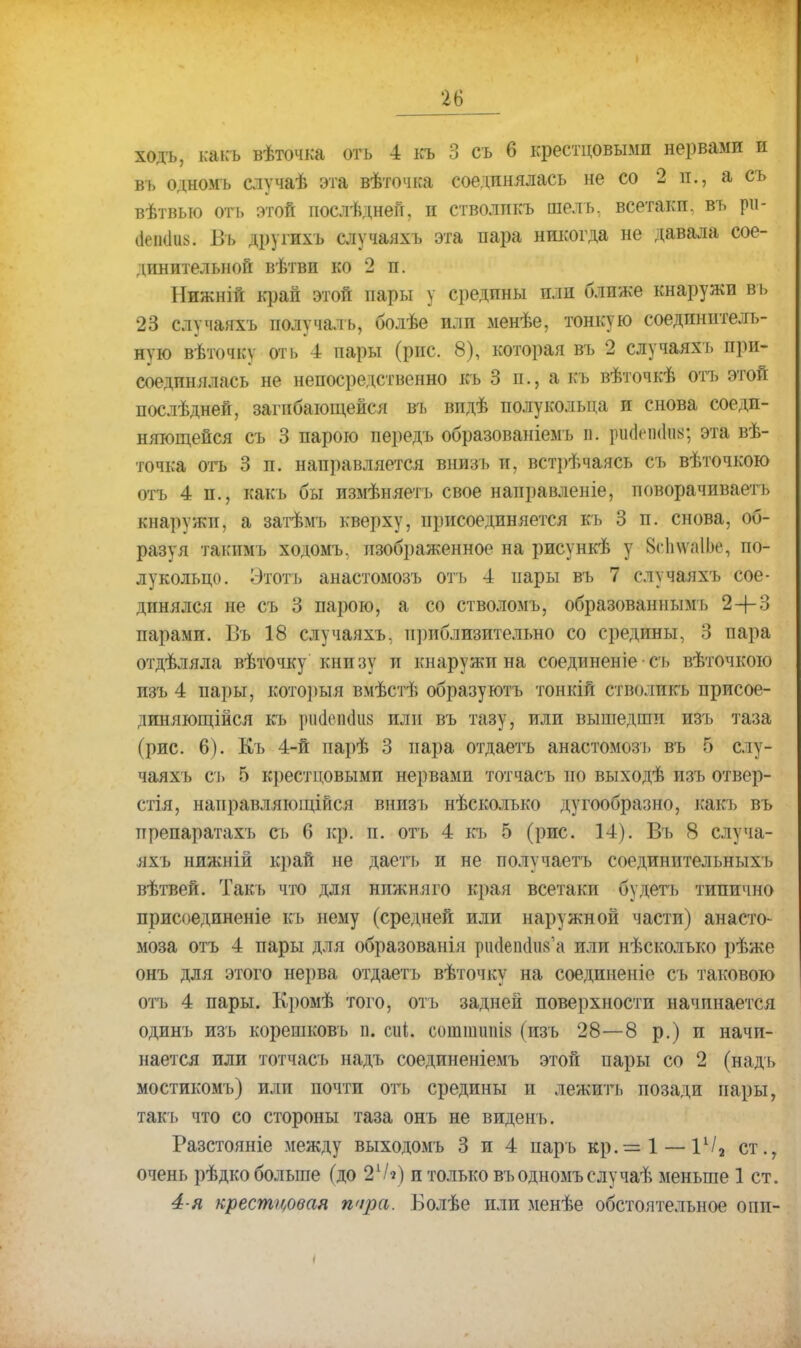 ходъ, какъ вѣточка оть 4 къ 3 съ 6 крестцовыми нервами и въ одномь случаѣ эта вѣточка соединялась не со 2 и., а съ вѣтвью оть этой послѣдней, и стволпкъ июль, всетакп. въ ри- иеікіш». Вь другихъ случаяхъ эта пара никогда не давала сое- динительной вѣтви ко 2 п. Пижній край этой пары у средины или ближе кнаружи вь 23 случаяхъ полу чаль, болѣе или менѣе, тонкую соединитель- ную вѣточку оть 4 пары (рис. 8), которая вь 2 случаяхъ при- соединялась не непосредственно къ 3 п., а къ вѣточкѣ оть этой послѣдней, загибающейся въ впдѣ полукольца и снова соеди- няющейся съ 3 парою передъ образованіемъ п. рииѴшІіік; эта вѣ- точка отъ 3 п. направляется внизъ и, встрѣчаясь съ вѣточкою отъ 4 п., какъ бы измѣняетъ свое направленіе, поворачиваетъ кнаружи, а затѣмъ кверху, присоединяется къ 3 п. снова, об- разуя такимъ ходомъ. изображенное на рисункѣ у $с1)\ѵ;і1Ь<\ по- лукольцо. Этотъ анастомозъ оть 4 пары въ 7 случаяхъ сое- динялся не съ 3 парою, а со стволомъ, образованнымъ 2+3 парами. Въ 18 случаяхъ, приблизительно со средины, 3 пара отдѣляла вѣточку книзу и кнаружи на соединеніе-съ вѣточкою пзъ 4 пары, который вмѣстѣ образуютъ тонкій стволпкъ присое- диняющейся къ рікіеікіиз или въ тазу, или вышедгап изъ таза (рис. 6). Къ 4-й парѣ 3 пара отдаетъ анастомозъ въ б слу- чаях!) съ 5 крестцовыми нервами тотчасъ по выходѣ изъ отвер- тя, направляющійся внизъ нѣсколько дугообразно, какъ въ препаратахъ съ 6 кр. п. отъ 4 къ 5 (рис. 14). Въ 8 случа- яхъ нижній край не даетъ и не получаетъ соединительныхъ вѣтвей. Такъ что для нпжняго края все-таки будегь типично присоединеніе къ нему (средней или наружной части) анасто- моза отъ 4 пары для образованія риаепаив'а или нѣсколько рѣже онъ для этого нерва отдаетъ вѣточку на соединеніе съ таковою отъ 4 пары. Кромѣ того, отъ задней поверхности начинается одинъ изъ корешковъ п. сиі. соішпшш (изъ 28—8 р.) и начи- нается или тотчасъ надъ соединеніемъ этой пары со 2 (надъ мостикомъ) или почти оть средины и лежить позади нары, такъ что со стороны таза онъ не виденъ. Разстояніе между выходомъ 3 и 4 парь кр.= 1 —I1/, ст., очень рѣдко больше (до 21/») итольковъодномъслучаѣ меньше 1 ст. 4-я креспщовая пира. Болѣе пли менѣе обстоятельное они-