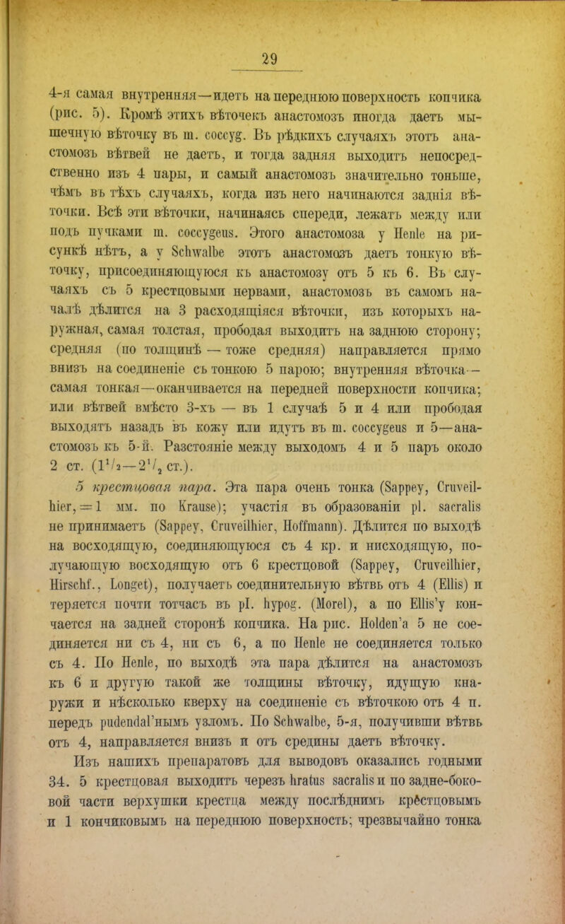 4-я самая внутренняя—идеть на переднюю поверхность копчика (рис. б). Кромѣ этихъ вѣточекъ анастомозъ иногда даегь мы- шечную вѣточку въ т. соссу§. Въ рѣдкихъ случаяхъ этотъ ана- стомозъ вѣтвей не даетъ, и тогда задняя выходить непосред- ственно изъ 4 пары, и самый анастомозъ значительно тоньше, чѣмъ въ тѣхъ случаяхъ, когда изъ него начинаются заднія вѣ- точки. Всѣ эти вѣточки, начинаясь спереди, лежать между или подъ пучками ш. соссудеиз. Этого анастомоза у Непіе на ри- су нкѣ нѣтъ, а у 8с1пѵа1Ье этотъ анастомозъ даетъ тонкую вѣ- точку, присоединяющуюся къ анастомозу отъ 5 къ 6. Въ слу- чаяхъ съ 5 крестцовыми нервами, анастомозъ въ самомъ на- чалѣ дѣлится на 3 расходящіяся вѣточки, изъ которыхъ на- ружная, самая толстая, прободая выходить на заднюю сторону; средняя (по толщинѣ — тоже средняя) направляется прямо внизъ на соединеніе съ тонкою 5 парою; внутренняя вѣточка— самая тонкая—оканчивается на передней поверхности копчика; или вѣтвей вмѣсто 3-хъ — въ 1 случаѣ 5 и 4 или прободая выходятъ назадъ въ кожу или идутъ въ т. соссу&еиз и 5—ана- стомозъ къ 5-й. Разстояніе между выходомъ 4 и 5 парь около 2 ст. (Г/2—21/2ст.). 5 крестцовая пара. Эта пара очень тонка (8арреу, Сгаѵеіі- Ьіет, = 1 мм. по Кгаизе); участія въ образованіи рЬ васгаііз не принимаетъ (Зарреу. СпіѵеіІЫег, Нойташі). Дѣлится по выходѣ на восходящую, соединяющуюся съ 4 кр. и нисходящую, по- лучающую восходящую отъ 6 крестцовой (8арреу, СпіѵеіШіег, НігйсМ., Ьоп^еі), получаеть соединительную вѣтвь отъ 4 (ЕШз) и теряется почти тотчасъ въ рі. ііуро^. (Могеі), а по Е11і8'у кон- чается на задней сторонѣ копчика. На рис. НоШеп'а 5 не сое- диняется ни съ 4, ни съ 6, а по Непіе не соединяется только съ 4. По Непіе, по выходѣ эта пара дѣлится на анастомозъ къ 6 и другую такой же толщины вѣточку, идущую кна- ружи и нѣсколько кверху на соединеніе съ вѣточкою отъ 4 п. передъ рішеінІаГнымъ узломъ. По 8сЬ\ѵа1Ье, 5-я, получивши вѣтвь отъ 4, направляется внизъ и отъ средины даетъ вѣточку. Изъ нашихъ препаратовъ для выводовъ оказались годными 34. 5 крестцовая выходить черезъ Іігаіиз засгаііз и по задне-боко- вой части верхушки крестца между послѣднимъ крёстцовымъ и 1 кончиковымъ на переднюю поверхность; чрезвычайно тонка