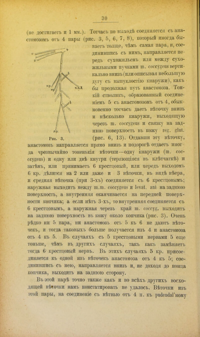 П.П.К. (не достигаетъ и 1 мм.). Тотчасъ по выходѣ соединяете;! съ ана- стомозомь отъ 4 пары (рис. 3, 5, 6, 7, 8), который иногда бы- ваетъ толще, чѣмъ самая пара, и, сое- динившись съ нимъ, направляется пе- редъ сухожильемъ или между сухо- жильными пучками ш. соссуееиб верти- кально внизъ (пли описывая небольшую дугу съ выпуклостію кнаружи), какъ бы продолжая путь анастомоза. Тон- кііі стволикъ, образованный соедине- ніемъ 5 съ аиастомозомъ отъ 4, обык- новенно тотчасъ даетъ вѣточку внизъ и нѣсколько кнаружи, выходящую черезъ т. соссу&еиз и связку на зад- нюю поверхность въ кожу ге§. &1и1;. (рис. 6, 13). Отдавши эту вѣточку, анастомозъ направляется прямо внизъ и подорогѣ отдаетъ иног да чрезвычайно тоненькія вѣточки—одну ішаружи (т. сос- ссуёвиз) и одну или двѣ внутри (теряющіяся въ клѣтчаткѣ) и затѣмъ, или принимаетъ 6 крестцовый, или передъ выходомъ 6 кр. дѣлится на 2 или даже и 3 вѣточкп, въ видѣ вѣера, и средняя вѣточка (при 3-хъ) соединяется съ 6 крестцовымъ; Наружная выходить между т.т. соссу#еіі8 и Іеѵаі. апі на заднюю поверхность, а внутренняя оканчивается на передней поверх- ности копчика; а если нѣтъ 3-хъ, то внутренняя соединяется съ € крестцовымъ, а наружная черезъ край т. еоссу^. выходить на заднюю поверхность въ кожу около копчика (рис. 3). Очень рѣдко ни 5 пара, ни анастомозъ оп» 5 къ 6 не даютъ вѣто- чекъ, и тогда таковыхъ больше получается изъ 4 и анастомоза отъ 4 къ 5. Въ случаяхъ съ 5 крестцовыми нервами 5 еще тоньше, чѣмъ въ другпхъ случаяхъ, такъ какъ замѣняетъ тогда 6 крестцовый нервъ. Въ этихъ случаяхъ 5 кр. присое- диняется къ одной изъ вѣточекъ анастомоза отъ 4 къ 5; сое- динившись съ нею, направляется внизъ и, не доходя до конца копчика, выходить на заднюю сторону. Въ этой парѣ точно также какъ и во всѣхъ другихъ восхо- дящей вѣточки намъ констатировать не удалось. Вѣточки изъ этой пары, на соединеніе съ вѣтвыо отъ 4 п. къ рийепйаГному