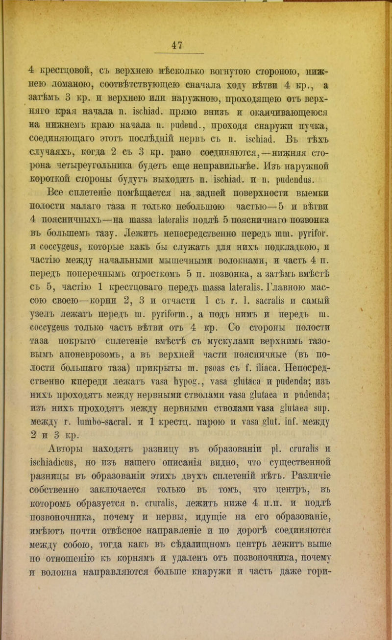 4 крестцовой, съ верхнею нѣсколько вогнутою стороною, ниж- нею ломаною, соотвѣтствующею сначала ходу вѣтви 4 кр., а затѣмъ 3 кр. и верхнею или наружною, проходящею отъ верх- няго края начала п. ійсіііаа. прямо внизъ и оканчивающеюся на нижнемъ краю начала п. ршіеііа., проходя снаружи пучка, соединяющаго этотъ послѣдній нервъ съ п. ізспіаоі. Въ тѣхъ случаяхъ, когда 2 съ 3 кр. рано соединяются,—нижняя сто- рона четыреугольника будетъ еще неправильнѣе. Изъ наружной короткой стороны будутъ выходить п. І8сЬіа(1. и п. ршіешіііз. Все сплетеніе помѣщается на задней поверхности выемки полости малаго таза и только небольшою частью—5 и вѣтви 4 поясничныхъ—на пшза Іаіегаііз подлѣ 5 поясничнаго позвонка въ болыпемъ тазу. Лежитъ непосредственно передъ тт. ругітг. и соссу§еиз, которые какъ бы служатъ для нихъ подкладкою, и частію между начальными мышечными волокнами, и часть 4 п. передъ поперечнымъ отросткомъ 5 п. позвонка, а затѣмъ вмѣстѣ съ 5, частію 1 крестцоваго передъ шаааа Ыегаііз. Главною мас- сою своею—корни 2, 3 и отчасти 1 съ г. I. «асгаііз и самый узелъ лежать передъ т. ругногт., а подъ нимъ и передъ т. соссу^еш только часть вѣтви отъ 4 кр. Со стороны полости таза покрыто сплетеніе вмѣстѣ съ мускулами верхнимъ тазо- вымъ апоневрозомъ, а въ верхней части поясничные (въ по- лости большаго таза) прикрыты т. рзоаз съ Г. Шаса. Непосред- ственно кпереди лежать ѵаза Ьуро§., ѵаза ^іиіаса и рисіепсіа; изъ нихъ проходятъ. между нервными стволами ѵаза ^іпіаеа и ріщешіа; изъ нихъ проходятъ между нервными стволами ѵава §1иі;аеа вир. между г. ІишЬо-засгаІ. и 1 крестц. парою и ѵаза §ш1 ші. между 2 и 3 кр. Авторы находятъ разницу въ образованіи рі. сгагаііз и ізспіашсив, но изъ нашего описанія видно, что существенной разницы въ образовавши этихъ двухъ сплетеній нѣтъ. Различіе собственно заключается только въ томъ, что центръ, въ которомъ образуется п. сшгаШ, лежитъ ниже 4 п.п. и подлѣ позвоночника, почему и нервы, идущіе на его образованіе, имѣютъ почти отвѣсное направленіе и по дорогѣ соединяются между собою, тогда какъ въ сѣдалищномъ центръ лежитъ выше по отношенію къ корнямъ и удаленъ отъ позвоночника, почему и волокна направляются больше кнаружи и часть даже гори-