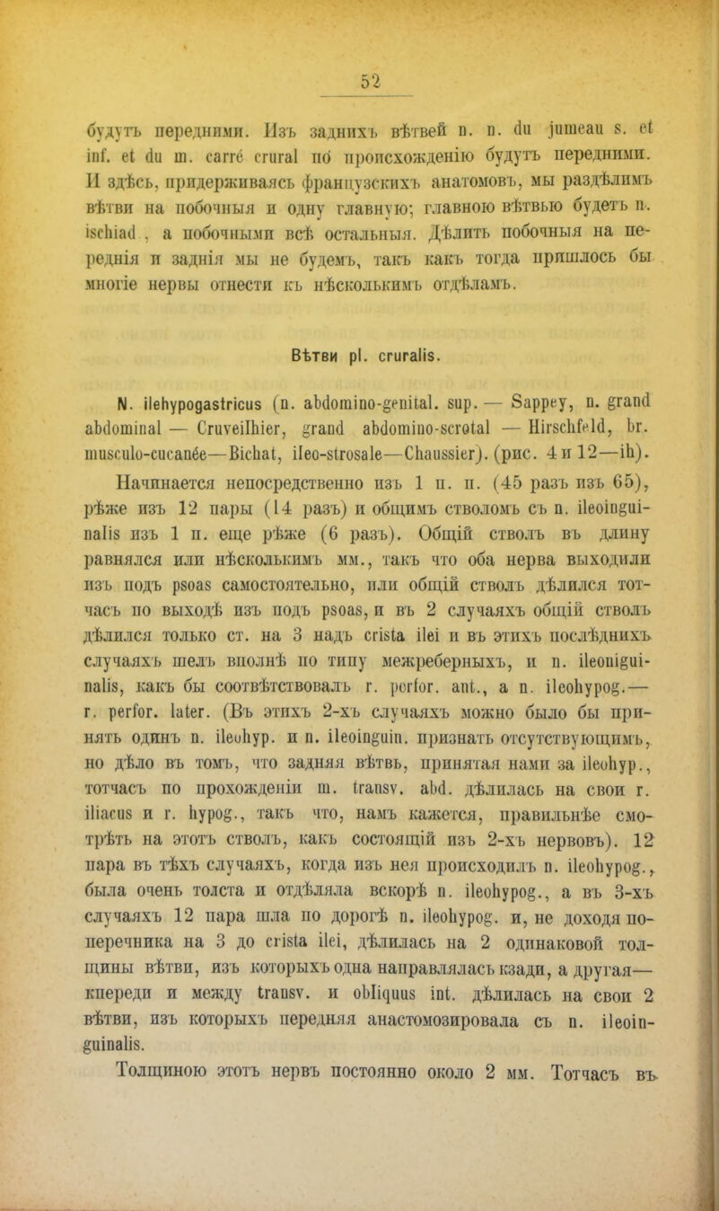 будутъ передними. Изъ задннхъ вѣтвей п. п. Йя іишеаи 8. еі іпГ. еі (1и ш. саггё сгигаі по иропсхожденію будутъ передними. И здѣсь, придерживаясь французскихъ анатомовъ, мы раздѣлимъ вѣтви на побочныя и одну главную; главною вѣтвью будеть и. ізсіпасі , а побочными всѣ остальныя. Дѣлпть побочныя на пе- реднія и заднія мы не будемъ, такъ какъ тогда пришлось бы многіе нервы отнести кь нѣсколькимъ отдѣламъ. Вѣтви рі. сгигаііз. N. іІеНуродазІгісиз (п. аЬаогаіпо-§еііі(а1. вир. — 8арреу, о. ёгапсі аМошіпаІ — СгиѵеіІЫег, <.ггапи аЬ(1отіпо-8сгоіа1 — НігзсЫѴІа, Ьг. шизсиіо-сисапёе—Вісііаі, ііео-зігозаіе—СЬашіег). (рис. 4и12—іп). Начинается непосредственно изъ 1 п. п. (45 разъ изъ 65), рѣже изъ 12 пары (14 разъ) и общимъ стволомъ съ п. ііеош&иі- ііаIі8 изъ 1 п. еще рѣже (6 разъ). Общій стволъ въ длину равнялся или нѣсколысимъ мм., такъ что оба нерва выходили изъ подъ рзоаз самостоятельно, или общій стволъ дѣлился тот- часъ по выходѣ изъ подъ рзоаз, и въ 2 случаяхъ общій стволъ дѣлился только ст. на 3 надъ сгізіа ііеі и въ этихъ послѣднихъ случаяхъ шелъ вполнѣ по типу межреберныхъ, и п. і1еові§иі- паііз, какъ бы соотвѣтствовалъ г. рогіог, апі., а п. ііеопуро^.— г. регГог. Іаіег. (Бъ этихъ 2-хъ случаяхъ можно было бы при- нять одинъ п. ііеиііур. и п. ііеоіп^иіп. признать отсутствующим!,, но дѣло въ томъ, что задняя вѣтвь, принятая нами за ііеопур., тотчасъ по прохожденіи т. (гапзѵ. аЬ(1. дѣлилась на свои г. ііімвв и г. Ь.уро§., такъ что, намъ кажется, правильнѣе смо- трѣть на этотъ стволъ, какъ состоящій изъ 2-хъ нервовъ). 12 пара въ тѣхъ случаяхъ, когда изъ нея пропсходилъ п. ііеопуро^., была очень толста и отдѣляла вскорѣ п. і1еоЬуро§., а въ 3-хъ случаяхъ 12 пара шла по дорогѣ п. ііеоііуро^. и, не доходя по- перечника на 3 до сгізіа ііеі, дѣлилась на 2 одинаковой тол- щины вѣтвп, изъ которыхъ одна направлялась кзади, а другая— кпереди и между Ьгапзѵ. и оЪ^ішз іпі. дѣлилась на свои 2 вѣтви, изъ которыхъ передняя анастомозировала съ п. ііеоіп- &иіпа1І8. Толщиною этотъ нервъ постоянно около 2 мм. Тотчасъ въ