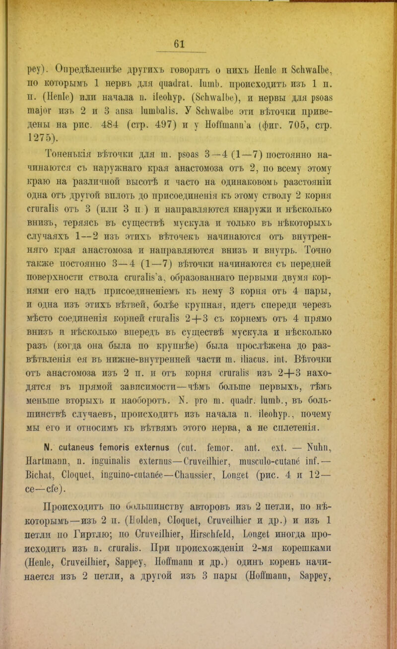 реу). Опредѣлсннѣе другихь говорлтъ о нихъ Непіе и ВсЬіѵаІЬе. по которымъ 1 нервъ для (ріасігаі. ІишЬ. происходить изъ 1 п. п. (Непіе) или начала п. НеоЬур. (8сп\ѵаІЬе), и нервы для рзоаз таіог изъ 2 и 3 апва 1ишЬа1І8. У 8с1і\ѵа1Ье эти вѣточки приве- дены на рис. 484 (стр. 497) и у НоК'шашГа (фиг. 705, стр. 1275). Тоненъкія вѣточкп для т. р«оа§ 3—4 (1—7) постоянно на- чинаются съ наружнаго края анастомоза отъ 2, по всему этому краю на различной высотѣ и часто на одинаковомь разстояніи одна отъ другой вплоть до прпсоединенія къ этому стволу 2 корня сгигаіів отъ 3 (или 3 п.) и направляются кнаружи и нѣсколько внизъ, теряясь въ существѣ мускула и только въ нѣкоторыхъ случаяхъ 1—2 изъ этихъ вѣточекъ начинаются отъ внутрен- няго края анастомоза и направляются внизъ и внутрь. Точно также постоянно 3—4 (1—7) вѣточкп начинаются съ передней поверхности ствола сгигаПз'а, образованнаго первыми двумя кор- нями его надъ присоединеніемъ къ нему 3 корня отъ 4 пары, и одна изъ этихъ вѣтвей, болѣе крупная, идетъ спереди черезъ мѣсто соединенія корней сгигаііз 2 4-3 съ корнемъ отъ 4 прямо внизъ и нѣсколько впередъ въ существѣ мускула и нѣсколько разъ (когда она была по крупнѣе) была прослѣжена до раз- вѣтвленія ея въ нижне-внутренней части т. іііасиз. Ш. Вѣточки отъ анастомоза изъ 2 п. и отъ корня сгигаііз изъ 24-3 нахо- дятся въ прямой зависимости—чѣмъ больше первыхъ, тѣмъ меньше вторыхъ и наоборотъ. N. рго т. ^иа(1^. ІитЬ., въ болъ- шинствѣ случаевъ, происходить изъ начала п. ііеопур., почему мы его и относимъ къ вѣтвямъ этого нерва, а не сплетенія. N. сиіапеиз іетогіз ехіегпиз (сііі. Гетог. апі. ехі. — N111111, Нагішаіш, п. іп^иіпаііз ехіепшз—СгиѵеШйег, тизсиіо-сиіапё іш\ — Віспаі, Сіодиеі, іп§иіпо-сіііап6е—С1іаіі88іег, Ьоп&еі (рис. 4 и 12 — се—сіе). Происходить по оольшинству авторовъ изъ 2 петли, по нѣ- которымъ—изъ 2 п. (Шёеп, СІодиеі, СгиѵеіІЫег и др.) и изъ 1 петли по Гиртлю; но СгиѵеіІЬіѳг, ШгзсЬіШ, Ьоп§еі иногда про- исходить изъ п. сгига1І8. При происхожденіи 2-мя корешками (Непіе, СгиѵеШііег, Зарреу, Нойтапп и др.) одинъ корень начи- нается изъ 2 петли, а другой изъ 3 пары (Нойшаші, 8арреу,