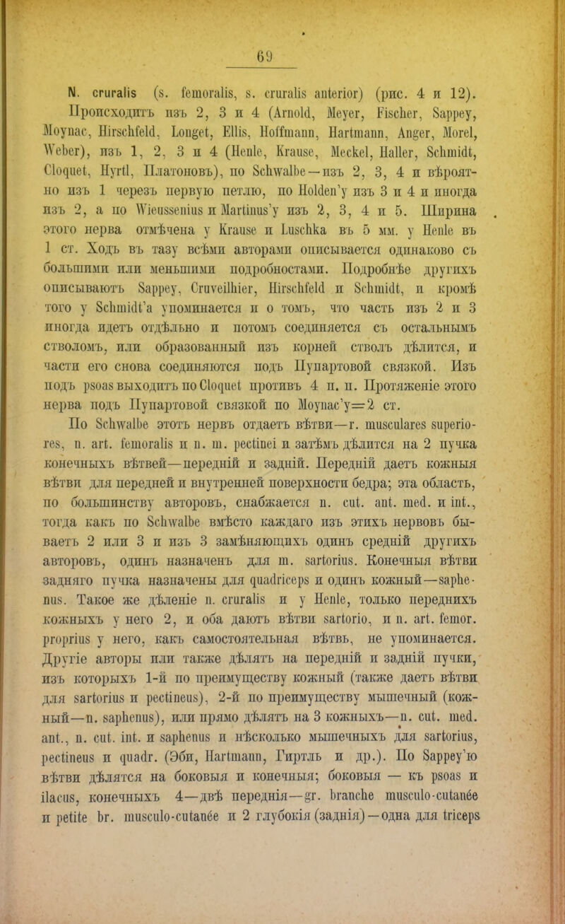 N. сгигаііз (§. Готогаііз, 8. сгигаііз аіііегіог) (рис. 4 и 12). Происходить пзъ 2, 3 и 4 (АгпоШ, Меуег, КізсЬег, 8арреу, Моупас, ИігйсШсі Ьоіщеі, ЩШ, НоШиапп, Нагітапп, Ап^ег, Могеі, \ѴеЬег), пзъ 1, 2, 3 и 4 (Недіе, Кгаизе, Мескеі, Наііег, ЗсІішШ, Сіодиеі, НугЙ, Платоновъ), по 8с1і\ѵа1Ье — пзъ 2, 3, 4 и вѣроят- но изъ 1 черезъ первую петлю, по НоШеіГу пзъ 3 и 4 и иногда изъ 2, а по №іеіі88еиіи8 и МагШшз'у изъ 2, 3, 4 и 5. Ширина этого нерва отмѣчена у Кгаиве и Ідіаспка въ 5 мм. у Непіе въ 1 ст. Ходъ въ тазу всѣми авторамп описывается одинаково съ большими или меньшими подробностами. Подробнѣе другихъ описываютъ 8арреу, СгиѵеШііег, ШгзсМеИ и ВсЬтШ, и кромѣ того у ЗспшШ'а упоминается и о томъ, что часть изъ 2 и 3 пногда идетъ отдѣльно и потомъ соединяется съ остальнымъ стволомъ, или образованный пзъ корней стволъ дѣлится, и части его снова соединяются подъ Пупартовой связкой. Изъ подъ р8оа8 выходить по С^ие* противъ 4 п. п. Протяженіе этого нерва подъ Пупартовой связкой по Моупас,у=2 ст. По 8с1і\ѵа1Ье этотъ нервъ отдаетъ вѣтви—г. шизсиіагез зирегіо- гез, п. агі. і'етога1І8 и п. т. ресйпеі и затѣмъ дѣлится на 2 пучка конечныхъ вѣтвей—передній и задній. Передній даетъ кожныя вѣтви для передней и внутренней поверхности бедра; эта область, по большинству авторовъ, снабжается п. сиі. апі. тей. и іпі., тогда какъ по 8с1і\ѵа1Ье вмѣсто каждаго изъ этихъ нервовъ бы- ваетъ 2 или 3 и изъ 3 замѣняющихъ одинъ средній другихъ авторовъ, одинъ назначенъ для т. загіогшз. Конечный вѣтви задняго пучка назначены для диаіігісерз и одинъ кожный—зарііе- піі8. Такое же дѣленіе п. сгигаііз и у Непіе, только иереднихъ кожныхъ у него 2, и оба даютъ вѣтви загіогіо, и п. агі. Гешог. ргоршв у него, какъ самостоятельная вѣтвь, не упоминается. Другіе авторы или также дѣлятъ на передній и задній пучки, изъ которыхъ 1-й по преимуществу кожный (также даетъ вѣтви для 8агіогіи8 и ресііпеиз), 2-й по преимуществу мышечный (кож- ный—п. 8арпепи8), или прямо дѣлятъ на 3 кожныхъ—п. сиі. шей. апі, п. си*, іпі. и 8арЬепіі8 и нѣсколько мышечныхъ для загіогіиз, ресііпеиз и диа(1г. (Эби, Нагітапп, Гиртль и др.). По Зарреу'ю вѣтви дѣлятся на боковыя и конечный; боковыя — къ рзоаз и ііасиз, конечныхъ 4—двѣ переднія—§т. Ьгапспе тизсиіо-сиіапбе и реіііе Ьг. ишзсіііо-сиіапёе и 2 глубокія (заднія) —одна для ігісер&
