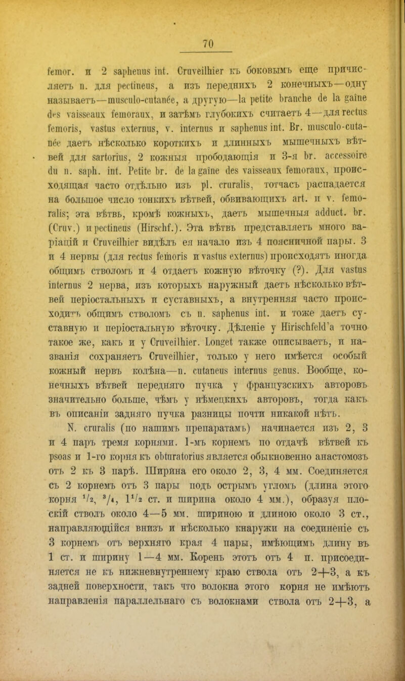 іешог. и 2 зарЬепиз ііи. СгиѵеіІЫег къ боковымь еще причис- ляетъ п. для регііпеиз, а пзъ переднпхъ 2 конечныхъ—одну называетъ—шизеиіо-еиіапёе, а другую—1а реіііе Ьгапсііе сіе 1а &аіпе (И ѵаі§8еаих кяпогаих, и затѣмъ глубокпхъ счптаетъ 4—длягесіиз Гетогів, шіия вхіеппи, ѵ. іпіегаш п 8ар1іеті8 іпі. Вг. тизсиіо-сиіа- вёе даетъ нѣсколько короткпхъ н длинныхъ мышечныхъ вѣт- вей для 8агіогііі8, 2 кожныя прободающія п 3-я Ьг. асхеззоіге он п. 8арЬ. іп(. РеДОе Ъг. (Іеіа&аіпе ііев ѵаІ88еаих іѳшогаих, проис- ходящая часто отдѣлъно изъ рі. сгигаііз, тотчасъ распадается на большое чпсло тонкихъ вѣтвей, обвивающихъ агі. и ѵ. Гегао- гаіів; эта вѣтвь, кромѣ кожныхъ, даеть мышечныя аскіисі. Ьг. (Сгиѵ.) нресипеи» (НігзспГ). Эта вѣтвь представляетъ много ва- ріацій и СшѵеіІЬіег видѣлъ ея начало изъ 4 поясничной пары. 3 и 4 нервы (для геспіз Гешогіз и ѵа8Ііі8 ехіегпіі8) пі)Опсходятъ иногда общпмъ стволомъ и 4 отдаетъ кожную вѣточку (?). Для ѵа8ііі8 іп((тпіі8 2 нерва, изъ которыхъ наружный даетъ нѣсколько вѣт- веіі періосталъныхъ и суставныхъ, а внутренняя часто проис- ходи'^» общимъ стволомъ съ п. 8арпеіиі8 іпі. и тоже даетъ су- ставную и періостальную вѣточку. Дѣленіе у НшзсЫ'еЫ'а точно такое же, какъ и у СгиѵеіШіег. Ьоп^еі также описываетъ, и на- званія сохраняетъ СпіѵеіІЬіег, только у него пмѣется особый кожный нервъ колѣна—п. стгіавш іпіепшз §еіШ8. Вообще, ко- нечныхъ вѣтвей передняго пучка у французскихъ авторовъ значительно больше, чѣмъ у нѣмецкихъ авторовъ, тогда какъ въ описаніи задняго пучка разницы почти никакой нѣть. N. спігаііз (по нашимъ препаратам ь) начинается пзъ 2, 3 и 4 парь тремя корнями. 1-мъ корнемъ по отдачѣ вѣтвей къ р8оаз и 1-го корня къ оЬшгаіогіиз является обыкновенно анастомозъ оть 2 къ 3 парѣ. Ширина его около 2, 3, 4 мм. Соединяется съ 2 корнемъ отъ 3 пары подъ острымъ угломъ (длина этого корня 4%, 8/45 І1^2 ст- и ширина около 4 мм.), образуя пло- скій стволъ около 4—5 мм. шириною и длиною около 3 ст., направляющійся внизъ и нѣсколько кнаружи на соединеніе съ 3 корнемъ отъ верхняго края 4 пары, имѣющимъ длину въ 1 ст. и ширину 1—4 мм. Корень этотъ отъ 4 п. присоеди- няется не къ нижневнутреннему краю ствола отъ 2-|-3, а къ задней поверхности, такъ что волокна этого корня не имѣютъ направлен ія параллельнаго съ волокнами ствола отъ 2+3, а