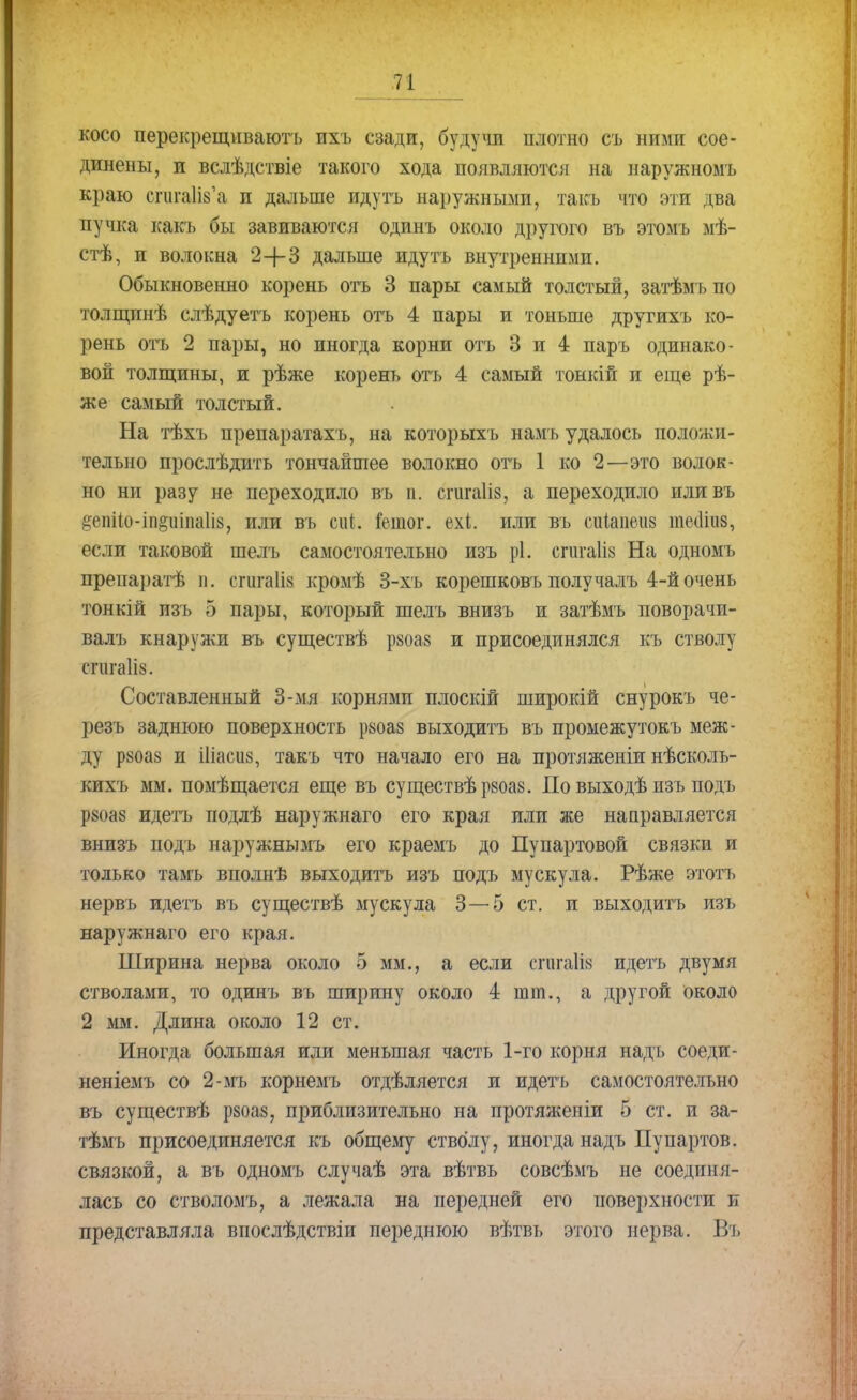 косо перекрещивают!, пхъ сзади, будучи плотно съ ними сое- динены, и вслѣдствіе такого хода появляются на наружном!, краю сгигаИв'а и дальше идутъ наружными, такъ что эти два пучка какъ бы завиваются одинъ около другого въ этомъ мѣ- стѣ, и волокна 2+3 дальше идутъ внутренними. Обыкновенно корень отъ 3 пары самый толстый, затѣмъ по толщпнѣ слѣдуетъ корень отъ 4 пары и тоньше другихъ ко- рень отъ 2 пары, но иногда корни отъ 3 и 4 паръ одинако- вой толщины, и рѣже корень отъ 4 самый тонкій и еще ре- же самый толстый. На тѣхъ препаратахъ, на которыхъ намъ удалось положи- тельно прослѣдить тончайшее волокно отъ 1 ко 2—это волок- но ни разу не переходило въ п. сгигаііз, а переходило иливъ §епіі;о-іп§шпа1і8, или въ сиі. Гешог. ехі. или въ сиіапеііз тесііііз, если таковой шелъ самостоятельно изъ рі. спігаііз На одномъ препаратѣ п. сгигаііа кромѣ 3-хъ корешковъ получалъ 4-йочень тонкій изъ 5 пары, который шелъ внизъ и затѣмъ поворачи- валъ кнаружи въ существѣ рзоаз и присоединялся къ стволу егш-аііз. Составленный 3-мя корнями плоскій широкій снурокъ че- резъ заднюю поверхность рзоаз выходить въ промежутокъ меж- ду рзоаз и Шасиз, такъ что начало его на протяженіи нѣсколь- кихъ мм. помѣщается еще въ су ществѣ рзоаз. По выходѣ изъ подъ рзоаз идетъ подлѣ наружнаго его края или же направляется внизъ подъ наружнымъ его краемъ до Пупартовой связки и только тамъ вполнѣ выходить изъ подъ мускула. Рѣже этотъ нервъ идетъ въ существѣ мускула 3—5 ст. и выходить изъ наружнаго его края. Ширина нерва около 5 мм., а если сгигаііз идетъ двумя стволами, то одинъ въ ширину около 4 тт., а другой около 2 мм. Длина около 12 ст. Иногда большая или меньшая часть 1-го корня надь соеди- неніемъ со 2-мъ корнемъ отделяется и идетъ самостоятельно въ существѣ рзоаз, приблизительно на протяженіи 5 ст. и за- тѣмъ присоединяется къ общему стволу, иногда надъ Пупартов. связкой, а въ одномъ случаѣ эта вѣтвь совсѣмъ не соединя- лась со стволомъ, а лежала на передней его поверхности и представляла впослѣдствіи переднюю вѣтвь этого нерва. Въ