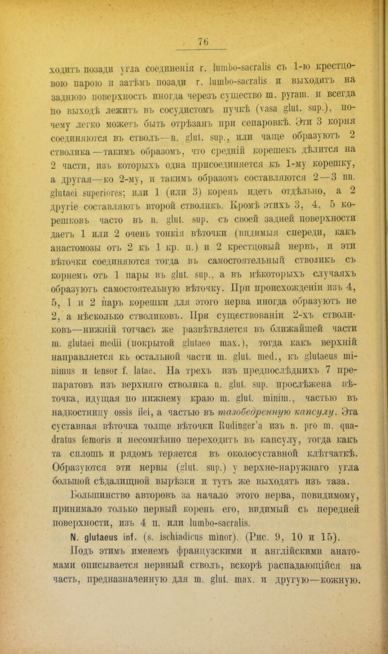 ходить позади угла соедпненія г. 1іпп1>о-8асга1І8 съ 1-ю крестцо- вого парою п загъмь позади г, ІишЬо-васгаІіз и выходитъ на заднюю поверхность иногда черезъ существо т. ругаш. и всегда по выходѣ лѳжитъ въ сосудистомь пучкѣ (ѵаза §1иі. вир.), по- чему легко можеть быть отрѣзанъ при сепаровкѣ. Эти 3 корня соединяются вь стволъ—п. ф&, щу, пли чаще образують 2 стволика —такимь образомь, что средній корешекь дѣлптся на 2 части, пзъ которыхъ одна присоединяется къ 1-ыу корешку, а другая—ко 2-му, и таким ь образомь составляются 2—3 ші. ёіаіаеі вирегіогез; пли 1 (или 3) корень идеть отдѣльно, а 2 другіе составляюсь второй стволикъ. Кромѣ этихъ 3, 4, 5 ко- решковь часто вь и. вир. съ своей задней поверхности даетъ 1 или 2 очень тонкія вѣточки (видпмыя спереди, какъ анастомозы отъ 2 кь 1 кр. п.) и 2 крестцовый нервь, и эти вѣточкн соединяются тогда вь самостоятельный стволикъ съ корнем і, отъ 1 пары вь іщіі. вир,, а вь нѣкоторыхъ случаяхъ образують самостоятельную вѣточку. Прп происхожденіи изь 4, 5, 1 і[ 2 парь корешки для этого нерва иногда образують не 2, а нѣсколько стволиковъ. При существованіп 2-хъ стволи- ковъ—нпжній тотчасъ же развѣтвляется вь ближайшей части ш. §1и(аеі теші (покрытой іііиіаео шах.), тогда какъ верхній направляется кь остальной части ш. ^іиі. ппчі., къ ^іиіаеиз ші- щдгда п іе.пбог Г. Іаіае. На трехъ изь преднослѣднихъ 7 пре- наратовъ изь верхняго стволика п. §1и(, 8іір. прослѣжена вѣ- точка, идущая по нижнему краю т. §1и(. тіпіт., частью въ надкостницу 088І8 ііеі, а частью въ тазобедренную капсулу. Эта суставная вѣточка толще вѣточки РшиЧп^ег'а пзъ п. рго ш. циа- бтагаз (водна п несомненно переходить вь капсулу, тогда какъ та сплошь и рядомъ теряется вь околосуставной клѣтчаткѣ. Образуются эти нервы (#1ці вир.) у верхне-наружнаго угла большой сѣдалищной вырѣзки и туть же выходить изь таза. Большинство авторовъ за начало этого нерва, невидимому, принимало только первый корень его, видимый сь передней поверхности, пзъ 4 п. или 1шпЬо-8асга1І8. N. діиіаеиз іпі. (б. І8с1ііааіси8 шіпог). (Рис. 9, 10 и 15). Подъ этимъ пменемъ французскими и англійскими анато- мами описывается нервный стволъ, вскорѣ распадающійся на часть, предназначенную для ш. §1иі. шах. и другую—кожную.