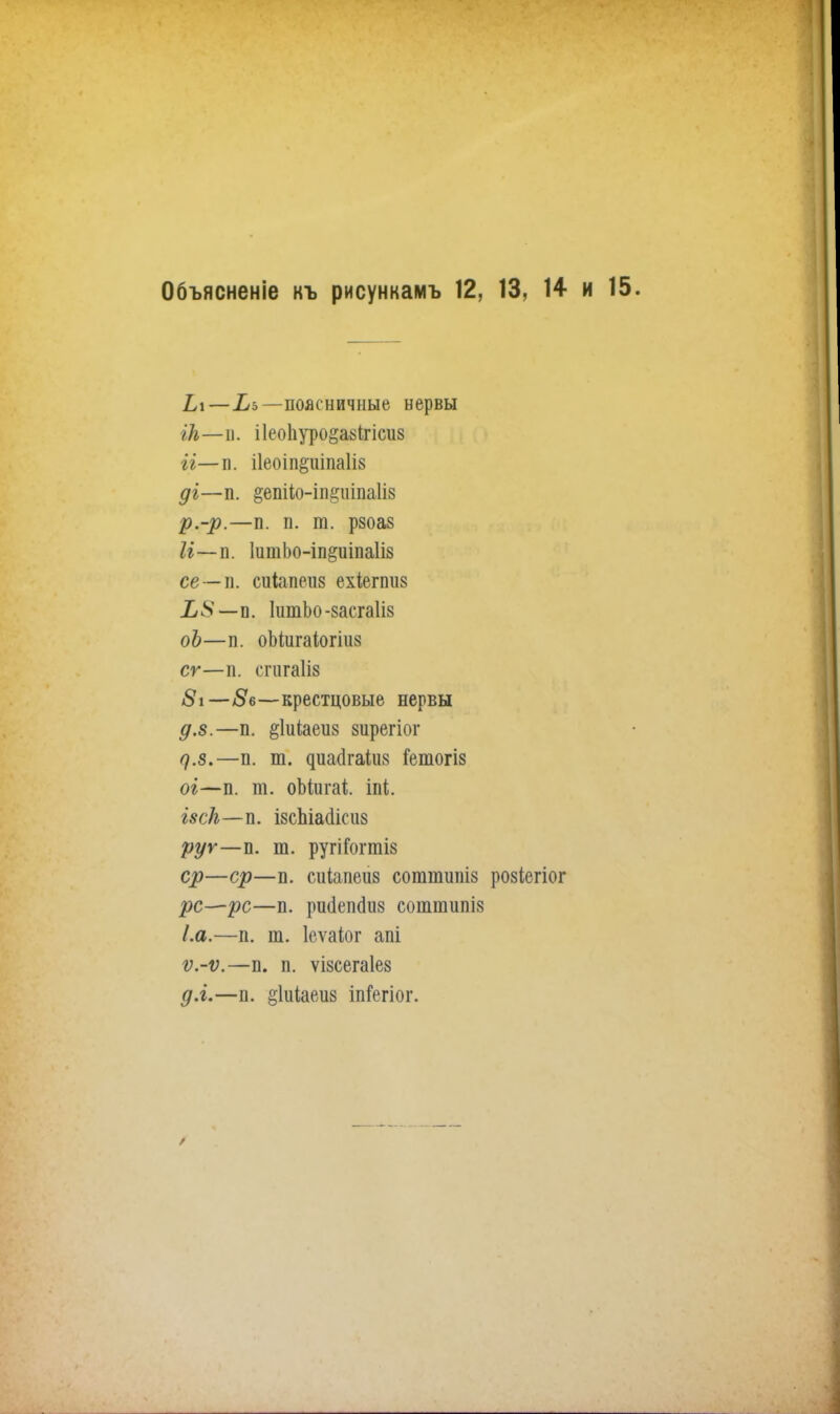 Объясненіе къ рисункамъ 12, 13, 14 и 15. Ь\—Хь—поясничные нервы /Л—п. ііеопуро&айігіеліз іі— п. і1еоіп§иіпа1і8 ді—п. §епіІо-іп§иіпа1І8 р.-р.—п. п. т. рзоа§ И—п. 1итЬо-іп§иіпа1І8 се—п. сиіапеиз ехіегпиз Ъ, 8 — п. ІитЬо -8асга1І8 оЬ—п. оМигаіогіиз сг—п. сгигаіів #і——крестцовые нервы д.8.—п. ^іиіаеиз зирегіог г).8.—п. т. диасігаіия пзтогіз ог—п. т. оМигаі Ы. І8Ск — 11. І8СЬІа(ІІС118 руг—п. т. ругіГоггаІ8 ср—ср—п. сиіапеиз согатішіз розіегіог рс—рс—п. рисіепсіиз соттипі8 І.а.—п. т. Іеѵаіог апі ѵ.-ѵ.—п. п. ѵізсегаіез д.і.—п. §1иіаеді8 іпі*егіог.