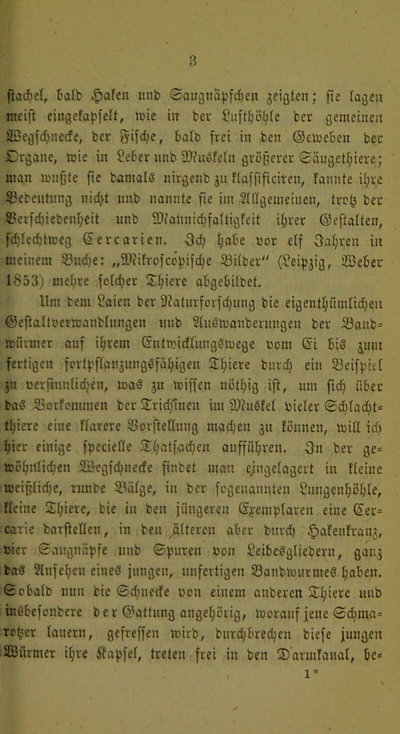 ftacpel, C’öfen unb ©augnäpfdjen geigten; fie lagen meift eingefapfett, tote in ber Suftpöpte ber gemeinen SBegfdjnecfe, ber ftifdje, Batb frei in ben ©etreBen ber Organe, tbie in £e]6er unb OWuSfetn größerer Säugetiere; man mußte fte bantalS nirgenb 311 Haffificiren, Bannte ipre Sebeutung nidvt unb nannte fte im Süllgemeinen, trc(3 ber Serfdtiebenpeit unb SDtalinidjfattigfeit iprer ©eftalten, fcptedjtmeg ©ercarien. 3d; paBe bor elf Oapren in meinem SBudje: „SDiif'rofcepifdje Silber (?eip3ig, 3BeBer 1853) ntepre fetdier Spiere aBgeBitbet. Ilm bem Saien ber 9?aturforfd)ung bie eigentpümtidjeu ©eftaltüermaublungen unb SüuSmanberungen ber Sattb= »firmer auf ipretn ©ntmicHungömege com ©i Bis ^mit fertigen forlpftpngungSfapigen Spiere burcp ein Seifpid 3U berftnnlicpen, maS 31t miffen nötpig ift, um ftcp üBer baS Sorfemmen ber Srid/tnett im ÜDiuSf'et bieter ©dttacpt* tpiere eine ftarere Sorfteüung madjeit 31t fönnen, tritt id) pier einige fpecieCte SOt;atfad)en attfffipren. 3n ber ge= teöpttlidjen Sötgfcpnede finbet man ejngetagert in Heine toeißtkpe, tunbe Sätge, in ber fegcuannten Suugenpöpte, Heilte Spiere, bie in ben jüngeren ©pemptaren eine ©er* carie barftetten, in ben fütteren aber bttrd) .jpatenfrang, hier ©aitgnäpfe unb ©puren bon Se.iBeSgtiebern, gang baS Sünfepen eines jungen, unfertigen SanbmurnteS pabett. ©oBalb nun bie ©d;ttecfe bctt einem anberen Spiere unb inSBefonbere ber ©Gattung angepörig, trorauf jene ©dtnta* reper lauern, gefreffen mirb, burd)Bred;en biefe jungen SBürnter ipre ftapfet, treten frei in ben Sarmfanat, Be* 1*