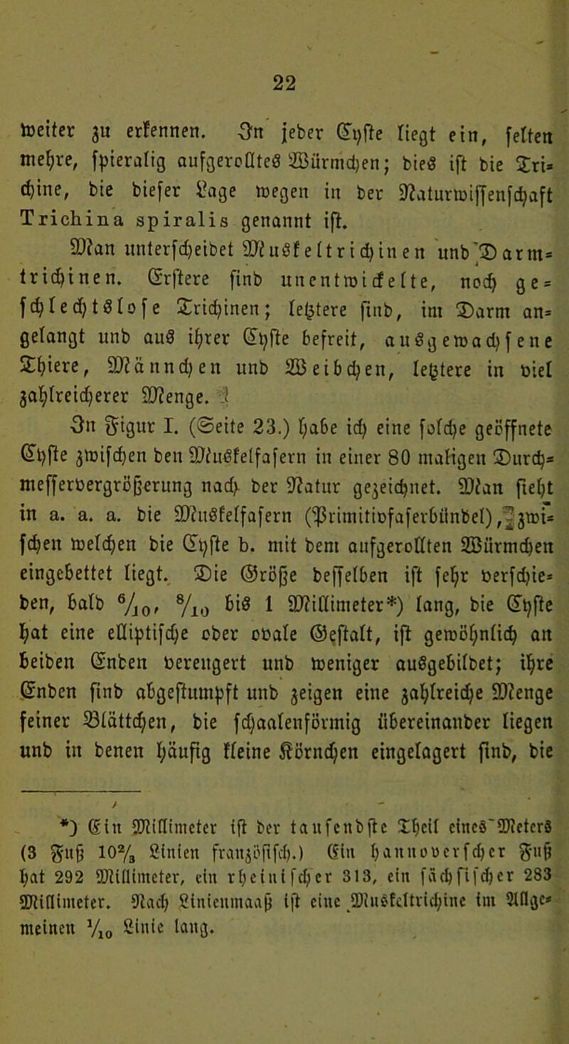 toeitcr 31t erlennen. 3n jeber (Stylte Hegt ein, feiten niedre, fpteralig aufgercllteö iffiürmdjen; bied ift bie £ri* * d)ine, bie biefer Sage »egen in ber Statunoiffenfctyaft Trichina spiralis genannt ift. 9)?an unterfdjeibet Sftudfeltricbinen unb'© arm* trtcbinen. (Srftere finb unentroicfeite, nod; ge = fc^Ierf;tSlofe ©rictyinen; letztere finb, int ©arm an= gelangt unb aud i^rer (Stylte befreit, audgeaadjfene Spiere, üDtännctyen unb Söeibdjen, leßtere in üiel 3atylreid;erer SJtenge. 1 3n f^igur I. (©eite 23.) I;abe id; eine fofdje geöffnete dtyfte jtoifctyen ben SJtudfeifafern in einer 80 maligen ©urcty* nteffertoergröfjerung nadv ber Statur gejeictynet. SDfan ftetyt in a. a. a. bie ÜDiudfelfafern (ißrimitiDfaferbiinbel),?3n>i* fctyett meldjen bie ütyfte b. mit bent aufgerollten SBürmctyen eingebettet liegt. ©ie ©röfje beffelben ift fefyr berfdjie* ben, halb 6/J0, 8/10 bid 1 SDtillinieter*) lang, bie dtyfte tyat eine eOiptifctye ober obale ©eftalt, ift geroötynlicty an beibeit dnben bereugert unb weniger audgebilbet; ityre ©nben finb abgefiumtyft unb 3eigen eine 3atylreid;e SOtenge feiner Slättdjen, bie fdjaalenformig übereinanber liegen unb in benen tyäufig Heine 5törnd;en eingelagert finb, bie / *) (£in JDtiflimeter ift ber taufenbjte Xbeil cincö~OJietcrS (3 gttfj 10% ßtnten frattjöfifcl).) (Sin I; a it n o Der f d) e r g-nfj tyat 292 SQtiflimeter, ein rI;ciuifcl;er 313, ein fäd)fifdjer 283 SJtiflimcter. Stad; Sinienmadp ijt eine 93iuöfeltrid;inc int 9Wgc» meinen V10 Sinie lang.