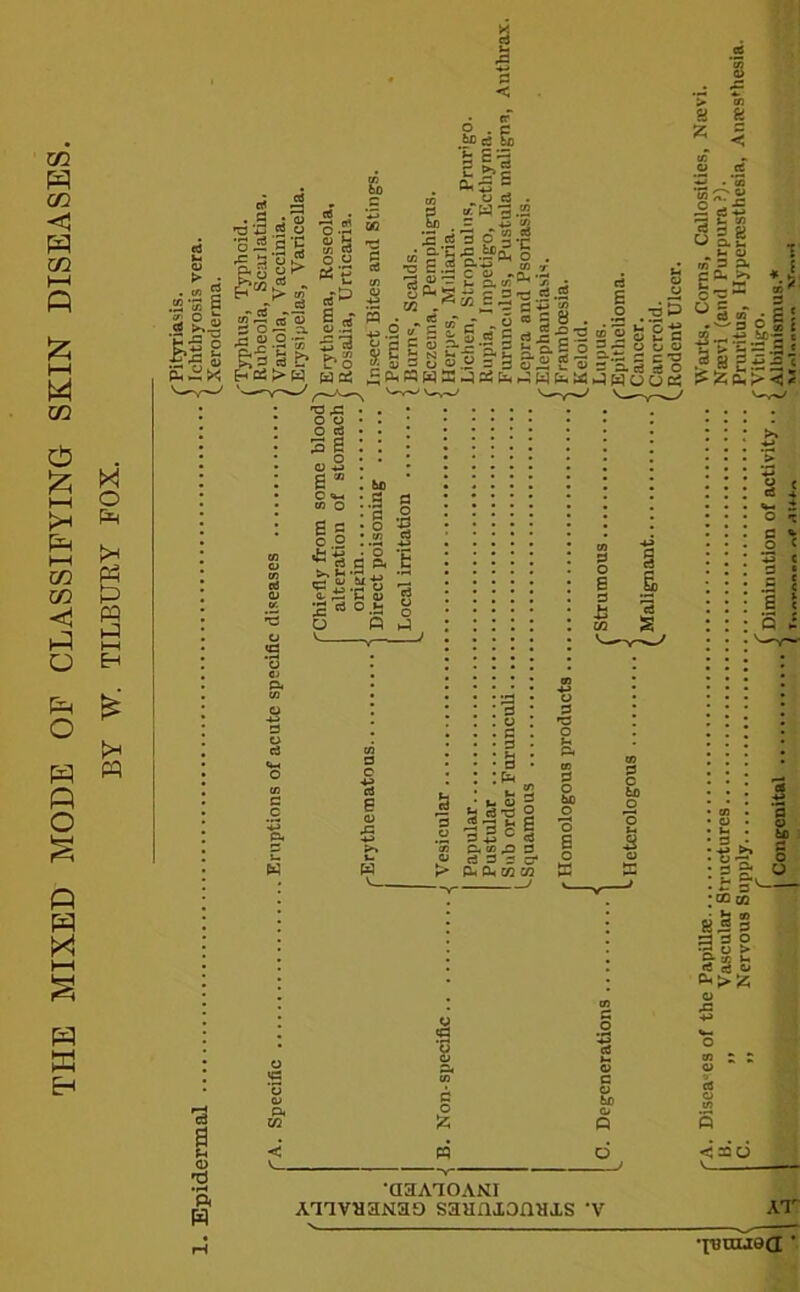 THE MIXED MODE OF CLASSIFYING SKIN DISEASES. BY W. TILBUKY FOX. •XDnueci '