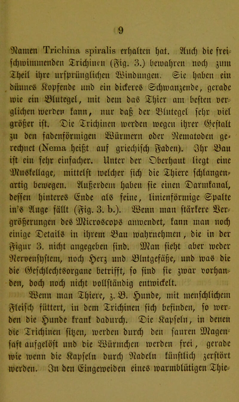 tarnen Trichina spiralis ermatten f)at. 9htd) bie frei* fepmimmenben STricpiuen ($ig. 3.) bewahren ttori) 311m Xtjeit ipre urfprünglitßen Sinbungett. ©ic l)abcu ein büntte« ft'opfenbe unb ein biefere« ©djmanjenbe, gerabc wie ein -ölutegel, mit beut baö Xl)icr ant beften »er* glichen werben fann, nur baß ber 53(ittcgcl fepr öiel größer ift. ©ie ©riepinen werben wegen itjrer %ftalt 31t bett fabenförmigen Sürmern ober 9iematoben gc-- red)nct (Nema peißt auf grieepifep gaben). 3pr 23att ift ein fepr cinfadjer. Unter ber Obcrpaut liegt eine i)fu«fellage, mittelft weldjer fidj bie ©piere fd)langcn* artig bewegen. 91ußcrbcm pabeu fie einen ©armfattal, beffeu pintcrc« (5nbe alö feine, tinienförmige ©palte in’« 91uge fällt (gig. 3. b.). Senn man ftärfere ä$er* größerungen bc« läfticroScop« anmenbet, fann man uorf) einige ©ctail« in ipreitt 33au waprnepmeu, bie in ber O'igur 3. niept angegeben finb. 5D?ati fiept aber weber 'Dteroenfpftem, noep §>ei-3 unb Blutgefäße, unb wa« bie bie ©efcplcd)t«organc betrifft, fo finb fie 3toar oorpan* beit, boep itocp niept üollftäubig cntwicfelt. Senn man Xpierc, 3. B. Jpunbe, mit mcnfd)lid)cnt gteifd; füttert, in bem ©riepinen fiep bcfiubcit, fo wer* ben bie §unbe franf babttrd). ©ie Äapfeln, in beticit bie ©riepinen fipett, werben burd) ben fauren Bfagew faft aufgelöft unb bie Sürmdjcn werben frei, gerabc wie wenn bie Äapfeln burd) fabeln fünftlid) jerftört werben. 3n bett CSiitgewcibeit eine« warmblütigen ©pie*