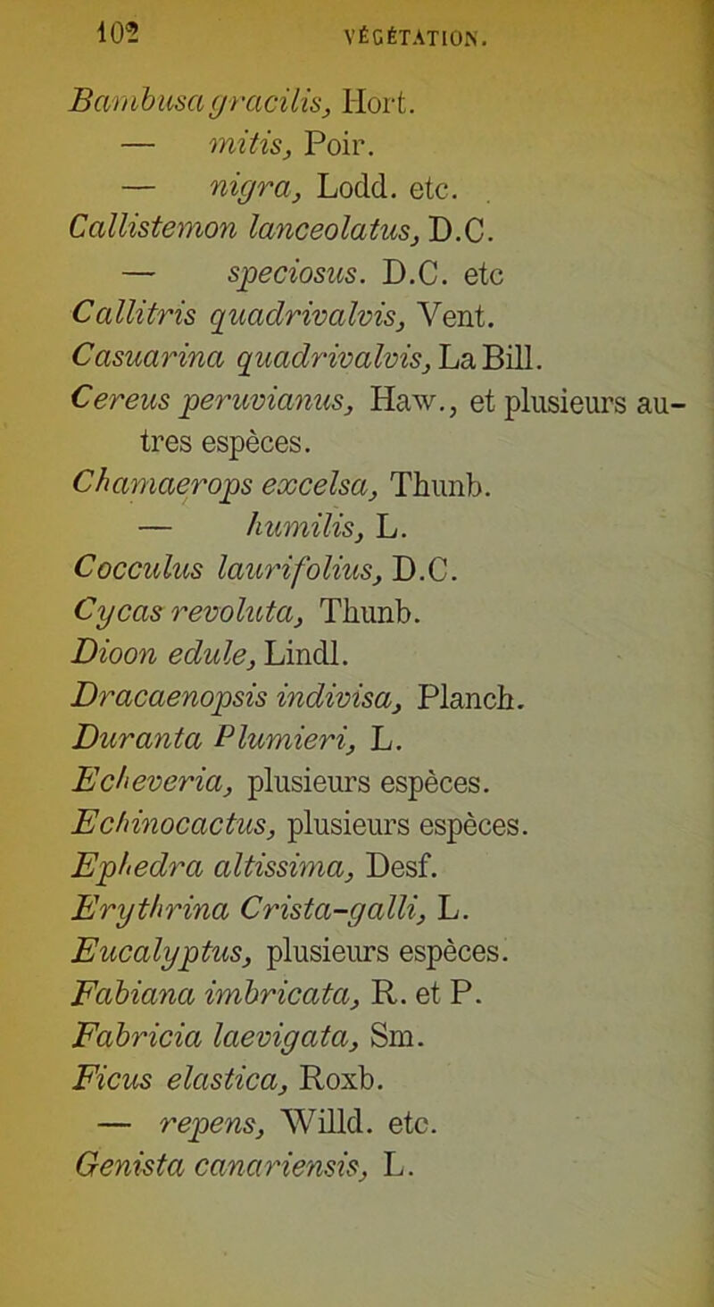 Bambusagracüis, Hort. — mitis, Poir. — nigra, Lodd. etc. Ccillistemon lanceolatus, D.C. — speciosus. D.C. etc Callitris quaclrivalvis, Vent. Casuarina quadrivalvis, La Bill. Cereus peruvianus, Haw., et plusieurs très espèces. Chamaerops excelsa, Thunb. — humilis, L. Cocculus laurifolius, D.C. Cycas revoluta, Thunb. Dioon edule, Lindl. Dracaenopsis indivisa, Planch. Duranta Plumieri, L. Echeveria, plusieurs espèces. Echinocactus, plusieurs espèces. Ephedra altissima, Desf. Erythrina Crista-galli, L. Eucalyptus, plusieurs espèces. Fabiana imbricata, R. et P. Fabricia laevigata, Sm. Ficus elastica, Roxb. — repens, Willd. etc. Genista canariensis, L.