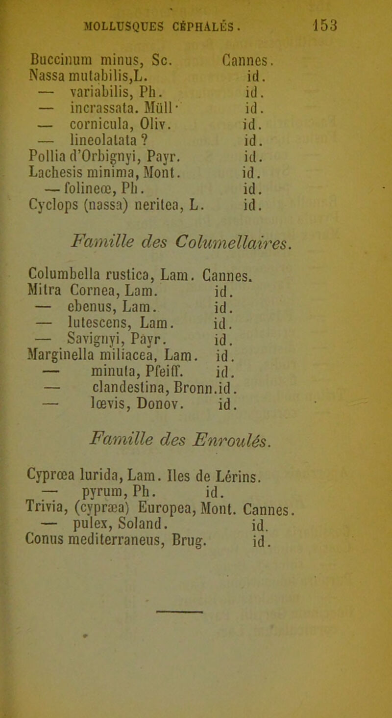 Buccinum minus, Sc. Cannes. Nassa mutabilis,L. id. — variabilis, Ph. id. — incrassata. Müll* id. — cornicula, Oliv. id. — lineolalata ? id. Pollia d’Orbignyi, Payr. id. Lachesis minima, Mont. id. — folineœ, Pli. id. Cyclops (nassa) neritea, L. id. Famille des Colurnellaires. Columbclla rustica, Lam. Cannes. Mitra Cornea, Lam. id. — ebenus, Lam. id. — lutescens, Lam. id. — Savignyi, Payr. id. Marginella miliacea, Lam. id. — minuta, Pfeiff. id. — clandeslina, Bronn.id. — lœvis, Donov. id. Famille des Enroulés. Cyprœa lurida, Lam. Iles de Lérins. — pyrum,Ph. id. Trivia, (cypræa) Europea, Mont. Cannes. — pulex, Soland. id. Conus mediterraneus, Brug. id.