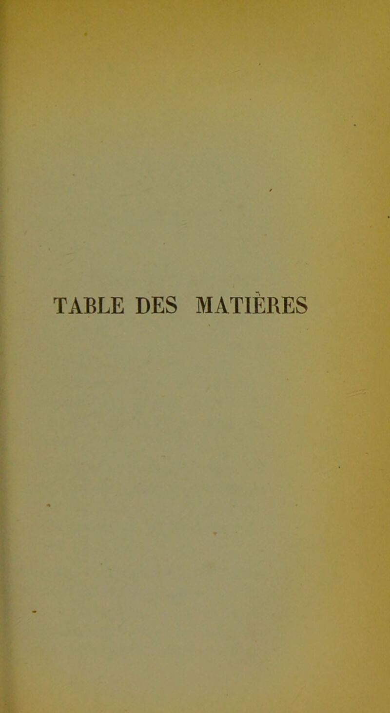 TABLE DES MATIERES