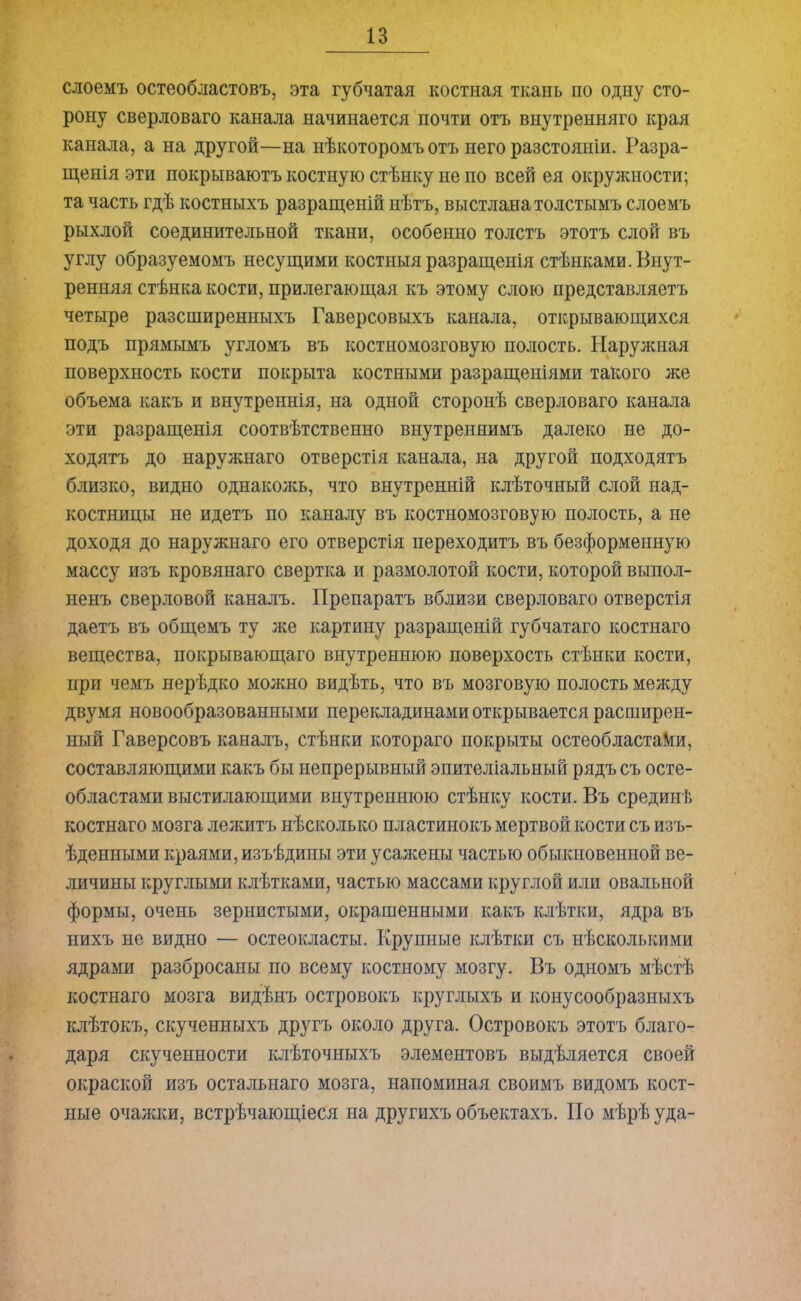 слоемъ остеобластовъ, эта губчатая костная ткань по одну сто- рону сверловаго канала начинается почти отъ внутренняго края канала, а на другой—на нѣкоторомъ отъ него разстояніи. Разра- щенія эти покрываютъ костную стѣнку не по всей ея окружности; та часть гдѣ костныхъ разращеній нѣтъ, выстлана толстымъ слоемъ рыхлой соединительной ткани, особенно толстъ этотъ слой въ углу образуемомъ несущими костныя разращенія стѣнками. Внут- ренняя стѣнка кости, прилегающая къ этому слою представляетъ четыре разсширенныхъ Гаверсовыхъ канала, открывающихся подъ прямымъ угломъ въ костномозговую полость. Наружная поверхность кости покрыта костными разращеніями такого же объема какъ и внутреннія, на одной сторонѣ сверловаго канала эти разращенія соотвѣтственно внутреннимъ далеко не до- ходятъ до наружнаго отверстія канала, на другой подходятъ близко, видно однакожъ, что внутренній клѣточный слой над- костницы не идетъ по каналу въ костномозговую полость, а не доходя до наружнаго его отверстія переходитъ въ безформенную массу изъ кровянаго свертка и размолотой кости, которой выпол- ненъ сверловой каналъ. Препаратъ вблизи сверловаго отверстія даетъ въ общемъ ту же картину разращеній губчатаго костнаго вещества, покрывающаго внутреннюю поверхость стѣнки кости, при чемъ нерѣдко можно видѣть, что въ мозговую полость между двумя новообразованными перекладинами открывается расширен- ный Гаверсовъ каналъ, стѣнки котораго покрыты остеобластами, составляющими какъ бы непрерывный эпителіальный рядъ съ осте- областами выстилающими внутреннюю стѣнку кости. Въ срединѣ костнаго мозга лежитъ нѣсколько пластинокъ мертвой кости съ изъ- ѣденными краями, изъѣдины эти усажены частью обыкновенной ве- личины круглыми клѣтками, частью массами круглой или овальной формы, очень зернистыми, окрашенными какъ клѣтки, ядра въ нихъ не видно — остеокласты. Крупные клѣтки съ нѣсколькими ядрами разбросаны по всему костному мозгу. Въ одномъ мѣстѣ костнаго мозга видѣнъ островокъ круглыхъ и конусообразныхъ клѣтокъ, скученныхъ другъ около друга. Островокъ этотъ благо- даря скученности клѣточныхъ элементовъ выдѣляется своей окраской изъ остальнаго мозга, напоминая своимъ видомъ кост- ные очажки, встрѣчающіеся на другихъ объектахъ. По мѣрѣ уда-