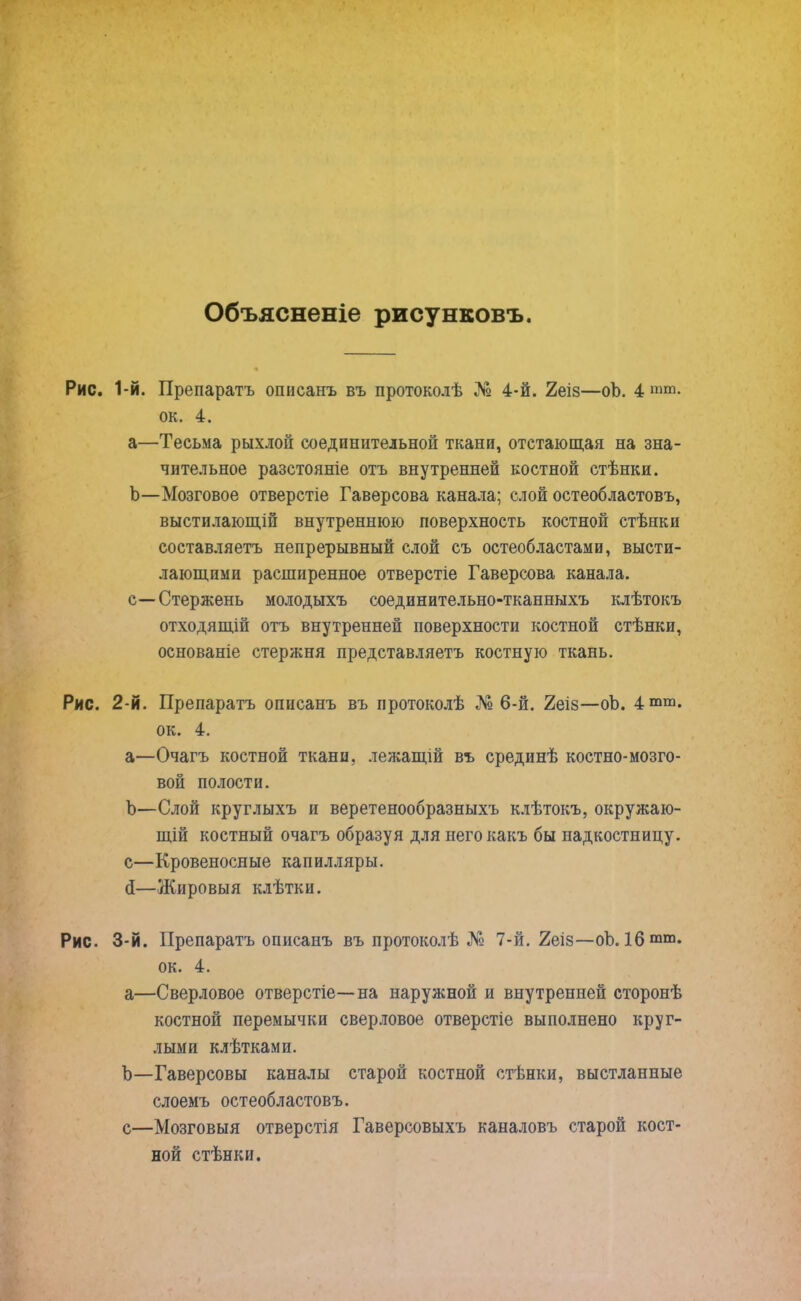 Объясненіе рисунковъ. Рис. 1-й. Препаратъ описанъ въ протоколѣ № 4-й. 2еіз—оЪ. 4 тт- ок. 4. а—Тесьма рыхлой соединительной ткани, отстающая на зна- чительное разстояніе отъ внутренней костной стѣнки. Ь—Мозговое отверстіе Гаверсова канала; слой остеобластовъ, выстилающій внутреннюю поверхность костной стѣнки составляетъ непрерывный слой съ остеобластами, высти- лающими расширенное отверстіе Гаверсова канала. с—Стержень молодыхъ соединительно-тканныхъ клѣтокъ отходящій отъ внутренней поверхности костной стѣнки, основаніе стержня представляетъ костную ткань. Рис. 2-й. Препаратъ описанъ въ протоколѣ № 6-й. 2еіз—оЪ. 4““. ок. 4. а—Очагъ костной ткани, лежащій въ срединѣ костно-мозго- вой полости. Ъ—Слой круглыхъ и веретенообразныхъ клѣтокъ, окружаю- щій костный очагъ образуя для него какъ бы надкостницу. с—Кровеносные капилляры. <3—Жировыя клѣтки. Рис. 3-й. Препаратъ описанъ въ протоколѣ № 7-й. 2еіз—оѣ.16 ок. 4. а—Сверловое отверстіе—на наружной и внутренней сторонѣ костной перемычки сверловое отверстіе выполнено круг- лыми клѣтками. Ъ—Гаверсовы каналы старой костной стѣнки, выстланные слоемъ остеобластовъ. с—Мозговыя отверстія Гаверсовыхъ каналовъ старой кост- ной стѣнки.