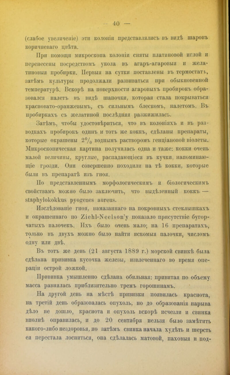 (слабое увеличеніе) эти колоиін представлялись въ видѣ шаровъ корнчиеваго цвѣта. При помощи микроскопа колонін сняты платиновой иглой и перенесены посредствомъ укола въ агаръ-агаровыя и жела- тнновыя пробирки. Нервыя на сутки поставлены въ термостать, затѣмъ культуры продол я;али развиваться при обыкновенной температурь. Вскорѣ на поверхности агаровыхъ нробирокъ обра- зовался палетъ въ видѣ шапочки, которая стала покрываться краеновато-оранжевымъ, съ сильнымъ блескомъ, налетомъ. Въ пробпркахъ съ желатиной послѣдняя разжижилась. Затѣмъ, чтобы удостовериться, что въ колоніяхъ и въ раз- водкахъ нробирокъ одипъ и тотъ же коккъ, сдѣланы препараты, которые окрашены 2% воднымъ растворомъ генціановой віолеты. Микроскопическая картина получилась одна и таже: кокки очень малой величины, круглые, раепадающіеся въ кучки, напоминаю- щее грозди. Они совершенно походили на тѣ кокки, которые были въ препаратѣ изъ гноя. По представленнымъ морфологическимъ и біологическнмъ свойствамъ можно было заключить, что выдѣленпый коккъ — «ирпуіококкиз руо^епез аигеиз. Изслѣдованіе гноя, намазаннаго на покровныхъ стеклышкахъ и окрашеннаго по 2іеЫ-^тееІ80п'у показало присутствие бугор- чатыхъ палочекъ. Ихъ было очень мало; на 16 препаратахъ, только въ двухъ можно было найти искомыя палочки, числомъ одну или двѣ. Въ тотъ же день (21 августа 1889 г.) морской свинкѣ была сдѣлана прививка кусочка железы, извлеченнаго во время опе- рации острой ложкой. Прививка умышленно сдѣлана обильная: привитая по объему масса равнялась приблизительно тремъ горошинамъ. На другой день на мѣстѣ прививки появилась краснота, на третій день образовалась опухоль, но до образованія нарыва дѣло не дошло, краснота и опухоль вскорѣ исчезли и свинка вполнѣ оправилась, и до 20 сентября нельзя было замѣтить какого-либо нездоровья, но затѣмъ свинка начала худѣть и шерсть ея перестала лосниться, она сдѣлалась матовой, паховыя и иод-