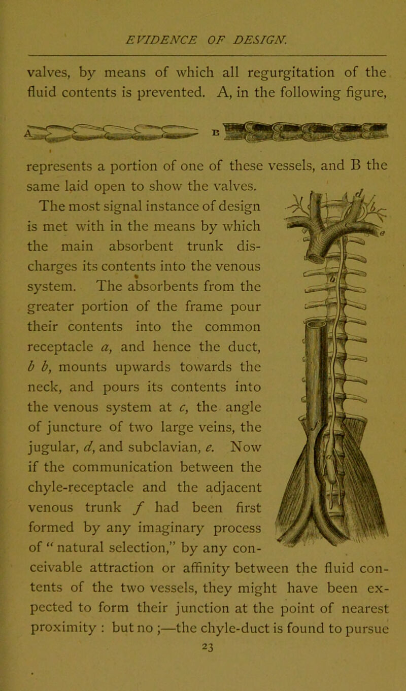 valves, by means of which all regurgitation of the fluid contents is prevented. A, in the following figure, B represents a portion of one of these vessels, and B the same laid open to show the valves. The most signal instance of design is met with in the means by which the main absorbent trunk dis- charges its contents into the venous system. The absorbents from the greater portion of the frame pour their contents into the common receptacle a, and hence the duct, b b, mounts upwards towards the neck, and pours its contents into the venous system at c, the angle of juncture of two large veins, the jugular, d, and subclavian, e. Now if the communication between the chyle-receptacle and the adjacent venous trunk f had been first formed by any imaginary process of “ natural selection,” by any con- ceivable attraction or affinity between the fluid con- tents of the two vessels, they might have been ex- pected to form their junction at the point of nearest proximity : but no ;—the chyle-duct is found to pursue