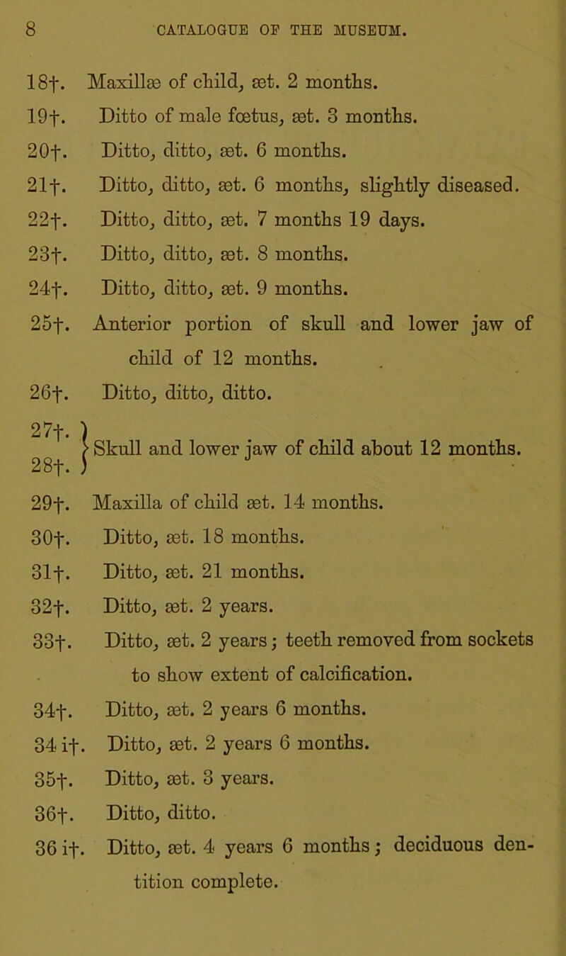 18f. Maxillse of chilcl, set. 2 months. 19f* Ditto of male foetus, set. 3 months. 20f. Ditto, ditto, set. 6 months. 21f. Ditto, ditto, set. 6 months, slightly diseased. 22f. Ditto, ditto, set. 7 months 19 days. 23f. Ditto, ditto, set. 8 months. 24f. Ditto, ditto, set. 9 months. 25f. Anterior portion of skull and lower jaw of child of 12 months. 26f. Ditto, ditto, ditto. 27f. ) } Skull and lower jaw of child about 12 months. 28f. ) 29f. Maxilla of child set. 14 months. 30f. Ditto, set. 18 months. 31 f- Ditto, set. 21 months. 32f. Ditto, set. 2 years. 33f. Ditto, set. 2 years; teeth removed from sockets to show extent of calcification. 34f. Ditto, set. 2 years 6 months. 34 if. Ditto, set. 2 years 6 months. 35f. Ditto, set. 3 years. 36f. Ditto, ditto. 36 if. Ditto, set. 4 years 6 months; deciduous den- tition complete.