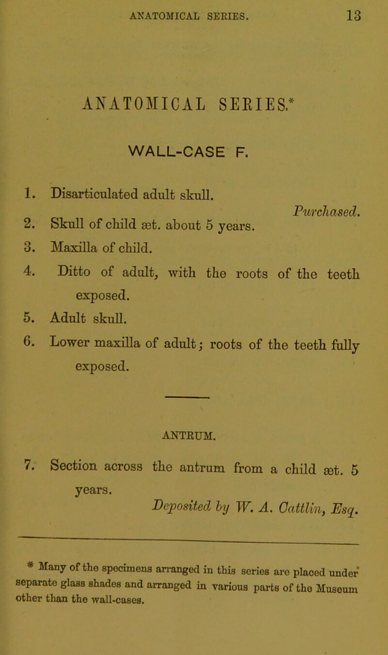 ANATOMICAL SERIES.* WALL-CASE F. 1. Disarticulated adult skull. Purchased. 2. Skull of child get. about 5 years. 3. Maxilla of child. 4. Ditto of adult, with the roots of the teeth exposed. 5. Adult skull. 6. Lower maxilla of adult; roots of the teeth fully exposed. ANTRUM. 7. Section across the antrum from a child set. 5 years. Deposited by W. A. Oattlin, Esq. * Many of the specimens arranged in this series are placed under separate glass shades and arranged in various parts of the Museum other than the wall-cases.