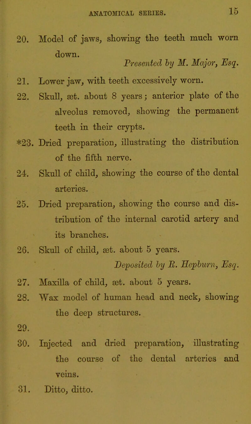 20. Model of jaws, showing the teeth much worn down. Presented by M. Major, Esq. 21. Lower jaw, with teeth excessively worn. 22. Skull, set. about 8 years; anterior plate of the alveolus removed, showing the permanent teeth in their crypts. *23. Dried preparation, illustrating the distribution of the fifth nerve. 24. Skull of child, showing the course of the dental arteries. 25. Dried preparation, showing the course and dis- tribution of the internal carotid artery and its branches. 26. Skull of child, set. about 5 years. Deposited by R. Hepburn, Esq. 27. Maxilla of child, set. about 5 years. 28. Wax model of human head and neck, showing the deep structures. 29. 30. Injected and dried preparation, illustrating the course of the dental arteries and veins.