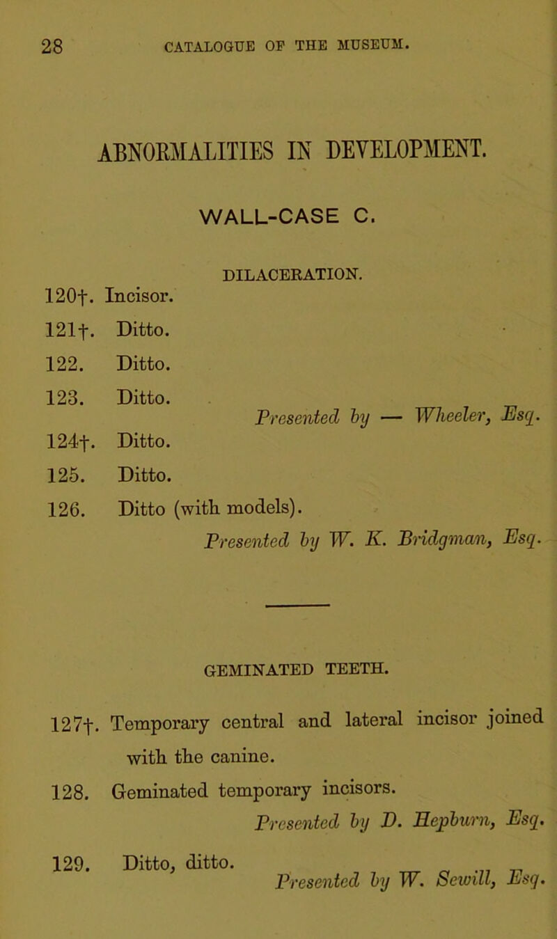 ABNORMALITIES IN DEVELOPMENT. WALL-CASE C. DILACERATION. 120f. Incisor. 121-f. Ditto. 122. Ditto. 123. Ditto. Presented by — Wheeler, Esq. 124f. Ditto. 125. Ditto. 126. Ditto (with models). Presented by W. K. Bridgman, Esq. GEMINATED TEETH. 127f. Temporary central and lateral incisor joined with, the canine. 128. Geminated temporary incisors. Presented by E. Hepburn, Esq. 129. Ditto, ditto.