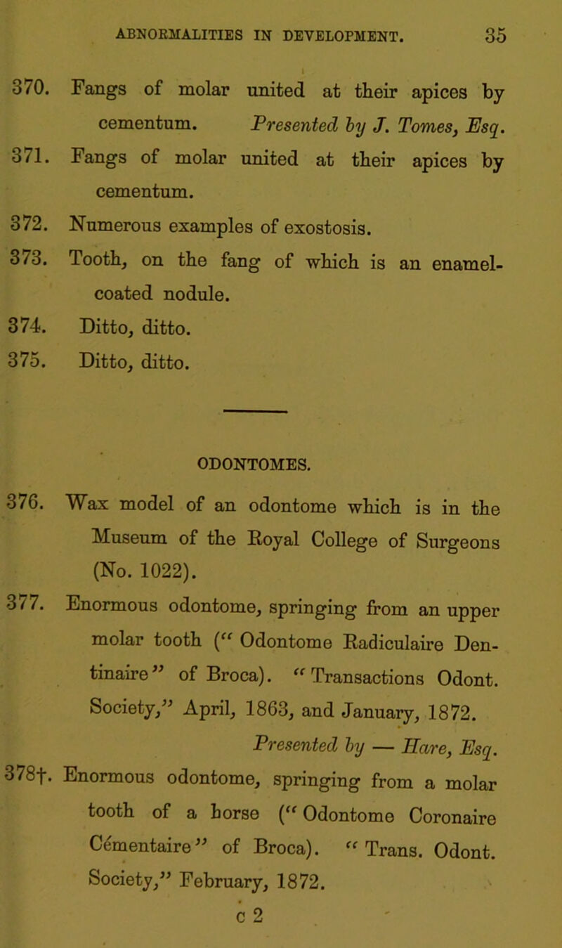 370. Fangs of molar united at their apices by cementum. Presented by J. Tomes, Esq. 3/1. Fangs of molar united at their apices by cementum. 372. Numerous examples of exostosis. 3/3. Tooth, on the fang of which is an enamel- coated nodule. 374. Ditto, ditto. 375. Ditto, ditto. ODONTOMES. 376. Wax model of an odontome which is in the Museum of the Royal College of Surgeons (No. 1022). 3/7. Enormous odontome, springing from an upper molar tooth (“ Odontome Radiculaire Den- tinaire” of Broca). “Transactions Odont. Society,” April, 1863, and January, 1872. Presented by — Hare, Esq. 378+. Enormous odontome, springing from a molar tooth of a horse (“Odontome Coronaire Cementaire” of Broca). “Trans. Odont. Society,” February, 1872.