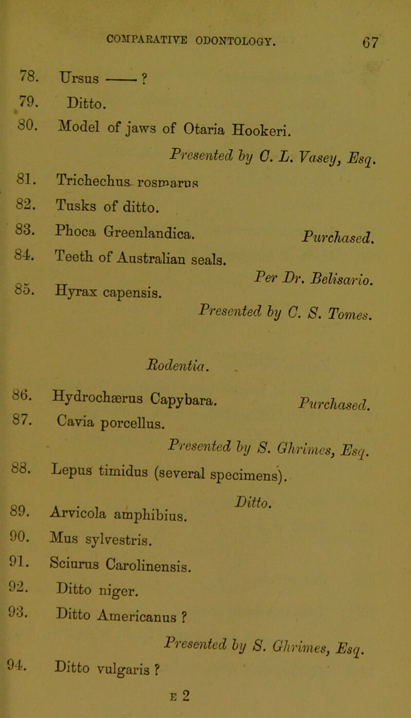 78. TJrsus ? 79. Ditto. 80. Model of jaws of Otaria Hookeri. 81. 82. 83. 84. 85. Presented by C. L. Vasey, Esq. Trichechus. rosmarus Tusks of ditto. Phoca Greenlandica. Purchased. Teetk of Australian seals. Hyrax capensis. Per Dr. Belisario. Presented by C. S. Tomes. Rodentici. 86. 87. 88. 89. 90. 91. 92. 93. Hydrochmrus Capybara. Purchased. Cavia porcellus. Presented by S. Ghrirnes, Esq. Lepus timidus (several specimens). . . . Ditto. Arvicola ampbibius. Mus sylvestris. Sciurus Carolinensis. Ditto niger. Ditto Americanus ? 94. 1 resented by S. Ghrirnes, Esq. Ditto vulgaris ?