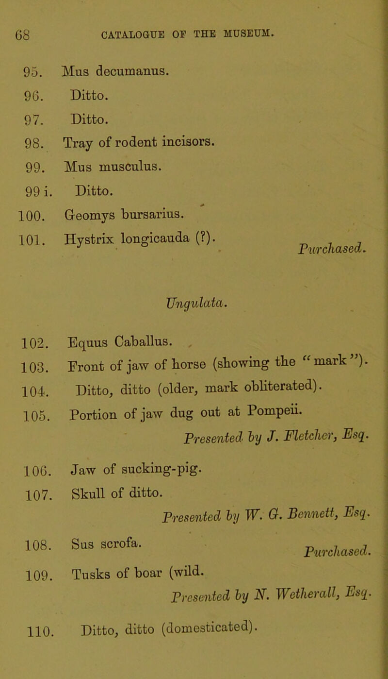 95. 96. 97. 98. 99. 99 i 100. 101. 102. 103. 104. 105. 106. 107. 108. 109. 110. Mus decumanus. Ditto. Ditto. Tray of rodent incisors. Mus musculus. Ditto. Greomys bursarius. Hystrix longicauda (?). Purchased. Ungulata. Equus Caballus. Front of jaw of borse (showing the “mark”)- Ditto, ditto (older, mark obliterated). Portion of jaw dug out at Pompeii. Presented hy J. Fletcher, Esq. Jaw of sucking-pig. Skull of ditto. Presented by W. G. Bennett, Esq. Sus scrofa. Tusks of boar (wild. Presented by Purchased. N. Wetherall, Esq. Ditto, ditto (domesticated).