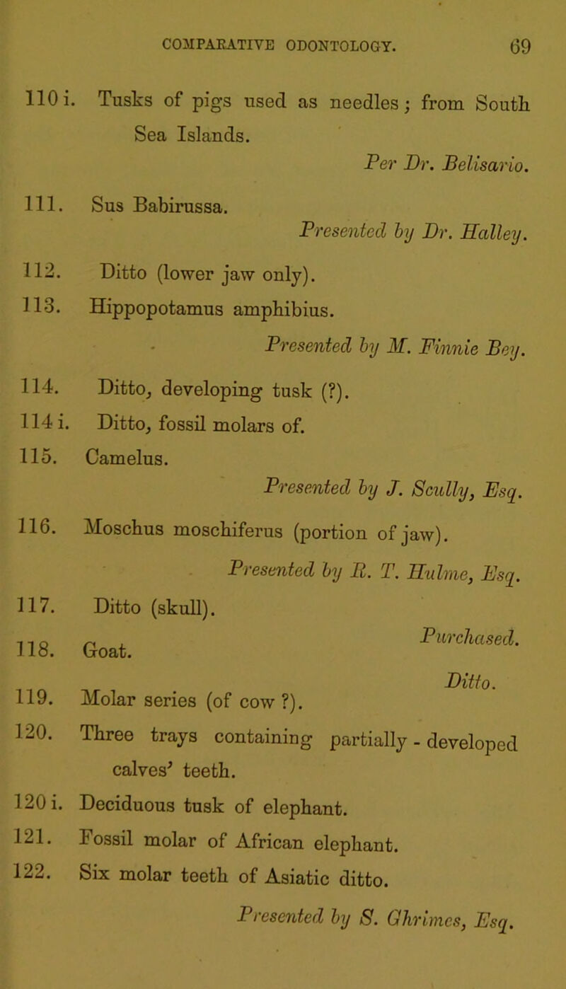 110 i. 111. 112. 113. 114. 114 i. 115. 116. 117. 118. 119. 120. 120 i. 121. 122. Tusks of pigs used as needles; from South Sea Islands. Per Dr. Belisario. Sus Babirussa. Presented by Dr. Halley. Ditto (lower jaw only). Hippopotamus amphibius. Presented by M. Finnic Bey. Ditto, developing tusk (?). Ditto, fossil molars of. Camelus. Presented by J. Scully, Esq. Moschus moschiferus (portion of jaw). Presented by B. T. Hulme, Esq. Ditto (skull). Goat. Purchased. Ditto. Molar series (of cow ?). Three trays containing partially - developed calves' teeth. Deciduous tusk of elephant. Fossil molar of African elephant. Six molar teeth of Asiatic ditto. 1 resented by S. Ghnmes, Esq.