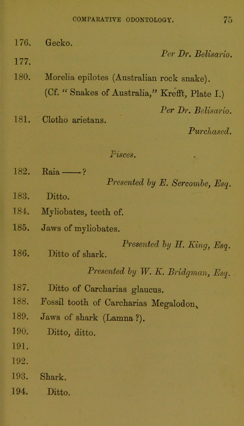 176. 177. 180. 181. 182. 183. 184. 185. 186. 187. 188. 189. 190. 191. 192. 193. 194. Gecko. Per Dr. Belisario. Morelia epilotes (Australian rock snake). (Cf. “ Snakes of Australia/' Krefft, Plate I.) Clotho arietans. Per Dr. Belisario. Purchased. Pisces. Raia ? Presented by E. Sercombe, Esq. Ditto. Myliobates, teeth of. Jaws of myliobates. Presented by H. King, Esq. Ditto of shark. Presented by W. K. Bridgman, Esq. Ditto of Carcharias glaucus. Fossil tooth of Carcharias Megalodonv Jaws of shark (Lamna ?). Ditto, ditto. Shark. Ditto.