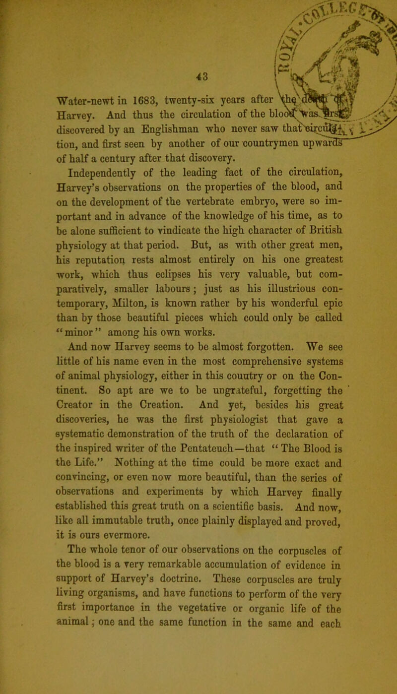 Water-newt in 1683, twenty-six years after Harvey. And thus the circulation of the block! 'Was^Brs^ discovered by an Englishman who never saw tha^eircu^t^,, tion, and first seen by another of our countrymen upwar of half a century after that discovery. Independently of the leading fact of the circulation, Harvey’s observations on the properties of the blood, and on the development of the vertebrate embryo, were so im- portant and in advance of the knowledge of his time, as to be alone sufficient to vindicate the high character of British physiology at that period. But, as with other great men, his reputation rests almost entirely on his one greatest work, which thus eclipses his very valuable, but com- paratively, smaller labours; just as his illustrious con- temporary, Milton, is known rather by his wonderful epic than by those beautiful pieces which could only be called “ minor ” among his own works. And now Harvey seems to be almost forgotten. We see little of his name even in the most comprehensive systems of animal physiology, either in this country or on the Con- tinent. So apt are we to be ungrateful, forgetting the Creator in the Creation. And yet, besides his great discoveries, he was the first physiologist that gave a systematic demonstration of the truth of the declaration of the inspired wiiter of the Pentateuch—that “ The Blood is the Life.” Nothing at the time could be more exact and convincing, or even now more beautiful, than the series of observations and experiments by which Harvey finally established this great truth on a scientific basis. And now, like all immutable truth, once plainly displayed and proved, it is ours evermore. The whole tenor of our observations on the corpuscles of the blood is a very remarkable accumulation of evidence in support of Harvey’s doctrine. These corpuscles are truly living organisms, and have functions to perform of the very first importance in the vegetative or organic life of the animal; one and the same function in the same and each