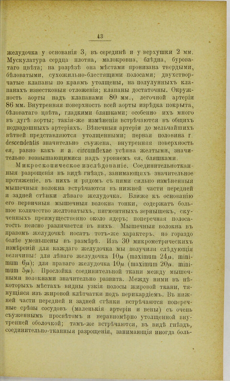 желудочка у основанія 3, въ серединѣ и у верхушки 2 мм. Мускулатура сердца плотна, малокровна, блѣдна, бурова- таго цвѣта; на разрѣзѣ она мѣстами пронизана твердыми, бѣловатыми, сухожильно-блестящими полосами; двухствор- чатые клапаны по краямъ утолщены, на полулунныхъ кла- панахъ известковый отложенія; клапаны достаточны. Окруж- ность аорты надъ клапанами 80 мм., легочной артеріи 86 мм. Внутренняя поверхность всей аорты изрѣдка покрыта, бѣловатаго цвѣта, гладкими бляшками; особенно ихъ много въ дугѣ аорты; такія-же измѣненія встрѣчаются въ общихъ подвздошныхъ артеріяхъ. Вѣнечныя артеріи до мельчайшихъ вѣтвей представляются утолщенными; первая половина г. йе8СеП(1епІІ8 значительно съужена, внутренняя поверхность ея, равно какъ и а. сігсішіОехае усѣяна желтыми, значи- тельно возвышающимися надъ уровнемъ ея, бляшками. Микроскопическое изслѣдованіе. Соединительноткан- ный разрощенія въ видѣ гнѣздъ. занимающихъ значительное протяженіе, въ нихъ и рядомъ съ ними сильно измѣненныя мышечныя волокна встрѣчаются въ нижней части передней и задней стѣнки лѣваго желудочка. Ближе къ основанію его первичныя мышечныя волокна тонки, содержать боль- шое количество желтоватыхъ, пигментныхъ зернышекъ, ску- ченныхъ преимущественно около ядеръ; поперечная полоса- тость неясно различается въ нихъ. Мышечныя волокна въ правомъ желудочкѣ носятъ тотъ-яіе характера но гораздо болѣе уменьшены въ размѣрѣ. Изъ 30 микрометрическихъ измѣреній для каждаго желудочка мы получили слѣдующія величины: для лѣваго желудочка 10/л (тахіншт 24^, тіпі- тит 6/а); для праваго желудочка 10^ (шахігаит 20^. тіпі- тит 5^). Прослойка соединительной ткани между мышеч- ными волокнами значительно развита. Между ними въ нѣ- которыхъ мѣстахъ видны узкія полосы жировой ткани, тя- нущіяся изъ жировой клѣтчатки подъ перикардіемъ. Въ ниж- ней части передней и задней стѣнки встрѣчаются попереч- ные срѣзы сосудовъ (малепькія артеріи и вены) съ очень съуженнымъ просвѣтомъ и неравномѣрно утолщенной вну- тренней оболочкой; тамъ-же встречаются, въ видѣ гнѣздъ, соединительно-тканныя разрощенія, занимающія иногда боль-