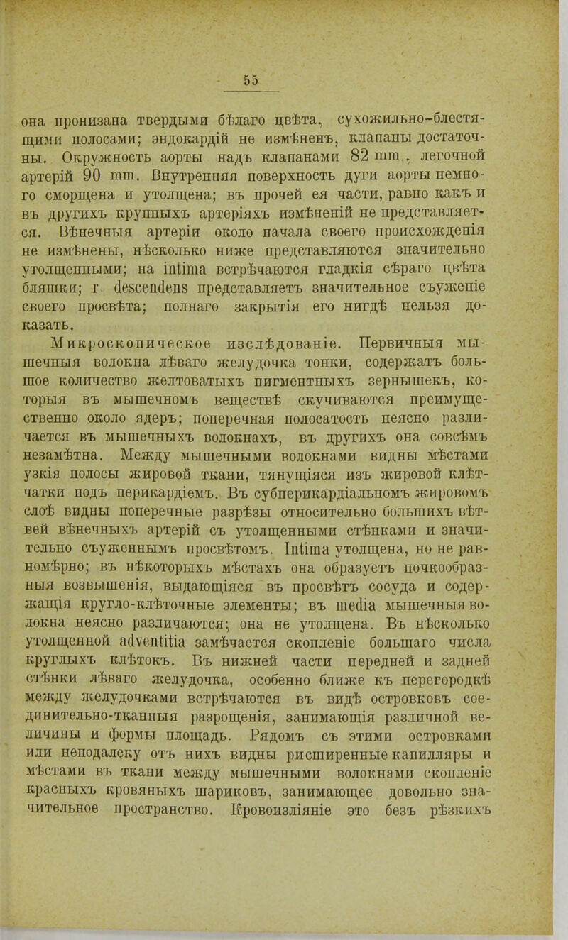 она пронизана твердыми бѣлаго цвѣта, сухожильно-блестя- щими полосами; эндокардій не измѣненъ, клапаны достаточ- ны. Окружность аорты надъ клапанами 82 шпі,. легочной артерій 90 тт. Внутренняя поверхность дуги аорты немно- го сморщена и утолщена; въ прочей ея части, равно какъ и въ другихъ крупныхъ артеріяхъ измѣненій не представляет- ся. Вѣнечныя артеріи около начала своего происхожденія не измѣнены, нѣсколько ниже представляются значительно утолщенными; на іііііша встрѣчаются гладкія сѣраго цвѣта бляшки; г. (1е8ССП(1еп8 представляетъ значительное съуженіе своего просвѣта; полнаго закрытія его нигдѣ нельзя до- казать. Микроскопическое изслѣдованіе. Первичныя мы- шечный волокна лѣваго желудочка тонки, содержать боль- шое количество яселтоватыхъ пигментныхъ зернышекъ, ко- торый въ мышечномъ веществѣ скучиваются преимуще- ственно около ядеръ; поперечная полосатость неясно разли- чается въ мышечныхъ волокнахъ, въ другихъ она совсѣмъ незамѣтна. Между мышечными волокнами видны мѣстами узкія полосы жировой ткани, тянущіяся изъ жировой клѣт- чатки подъ перикардіемъ. Въ субперикардіальномъ жировомъ слоѣ видны поперечные разрѣзы относительно болыпихъ вѣт- вей вѣнечныхъ артерій съ утолщенными стѣнками и значи- тельно съуженнымъ просвѣтомъ. Іпіігаа утолщена, но не рав- номѣрно; въ нѣкоторыхъ мѣстахъ она образуетъ почкообраз- ныя возвышенія, выдающіяся въ просвѣтъ сосуда и содер- жащая кругло-клѣточные элементы; въ тегііа мышечныяво- локна неясно различаются; она не утолщена. Въ нѣсколько утолщенной айѵепііііа замѣчается скопленіе большаго числа круглыхъ клѣтокъ. Въ нижней части передней и задней стѣнки лѣваго желудочка, особенно ближе къ перегородкѣ между желудочками встрѣчаготся въ видѣ островковъ сое- динительно-тканныя разрощенія, занимающія различной ве- личины и формы площадь. Рядомъ съ этими островками или неподалеку отъ нихъ видны рисширенные капилляры и мѣстами въ ткани меясду мышечными волокнами скопленіе красныхъ кровяныхъ шариковъ, занимающее довольно зна- чительное пространство. Еровоизліяніе это безъ рѣзкихъ