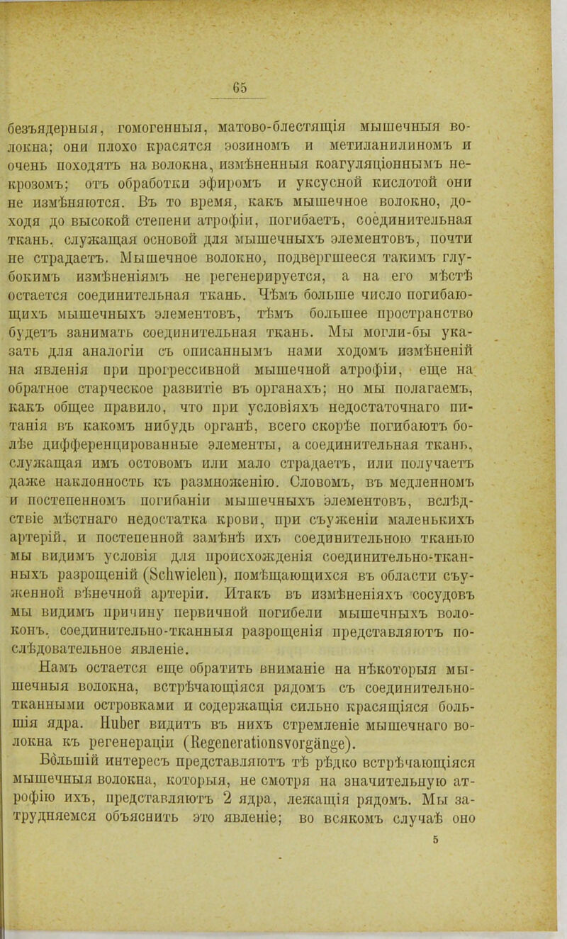 безъядерныя, гомогенныя, матово-блестящія мышечныя во- локна; они плохо красятся эозиномъ и метиланилиномъ и очень походятъ на волокна, измѣненныя коагуляціоннымъ не- крозомъ; отъ обработки эфиромъ и уксусной кислотой они не измѣняются. Въ то время, какъ мышечное волокно, до- ходя до высокой степени атрофіп, погибаетъ, соединительная ткань, служащая основой для мышечныхъ элементовъ, почти не страдаетъ. Мышечное волокно, подвергшееся такимъ глу- бокимъ измѣненіямъ не регенерируется, а на его мѣстѣ остается соединительная ткань. Чѣмъ больше число погибаю- щихъ мышечныхъ элементовъ, тѣмъ большее пространство будетъ занимать соединительная ткань. Мы могли-бы ука- зать для аналогіи съ описаннымъ нами ходомъ измѣненій на явленія при прогрессивной мышечной атрофіи, еще на обратное старческое развитіе въ органахъ; но мы полагаемъ, какъ общее правило, что при условіяхъ недостаточиаго пи- татя въ какомъ нибудь органѣ, всего скорѣе погибаютъ бо- лѣе дифференцированные элементы, а соединительная ткань, служащая имъ остовомъ или мало страдаетъ, или получаетъ далее наклонность къ размножение Словомъ, въ медленномъ и постепенномъ погибаніи мышечныхъ элементовъ, вслѣд- ствіе мѣстнаго недостатка крови, при съуженіи маленькихъ артерій. и постепенной замѣнѣ ихъ соединительною тканью мы видимъ условія для нроисхожденія соединительно-ткан- ныхъ разрощеній (8с1шіе1еіі), помещающихся въ области съу- женной вѣнечной артеріи. Итакъ въ измѣненіяхъ сосудовъ мы видимъ причину первичной погибели мышечныхъ воло- коиъ, соединительно-тканныя разрощенія представляютъ по- ел ѣдовательное явленіе. Намъ остается еще обратить вниманіе на нѣкоторыя мы- шечныя волокна, встрѣчающіяся рядомъ съ соединительно- тканными островками и содержании сильно красящіяся боль- ная ядра. НиЬег видитъ въ нихъ стремленіе мышечнаго во- локна къ регенераціи (Ке^епегаііопзѵог^ао^е). Ббльшій интересъ представляютъ тѣ рѣдко встрѣчающіяся мышечныя волокна, которыя, не смотря на значительную ат- рофію ихъ, представляютъ 2 ядра, лежащія рядомъ. Мы за- трудняемся объяснить это явленіе; во всякомъ случаѣ оно 5