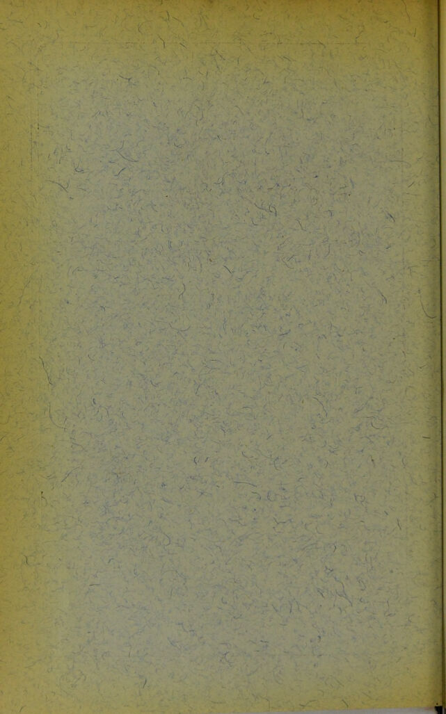 digitised image 2