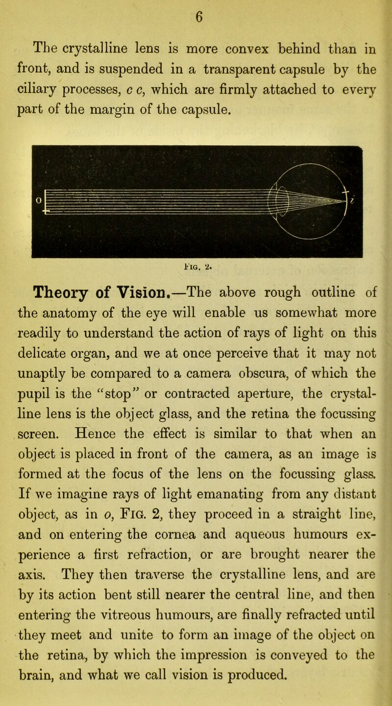 The crystalline lens is more convex behind than in front, and is suspended in a transparent capsule by the ciliary processes, c c, which are firmly attached to every part of the margin of the capsule. riG. 2. Theory of Vision.—The above rough outline of the anatomy of the eye will enable us somewhat more readily to understand the action of rays of light on this delicate organ, and we at once perceive that it may not unaptly be compared to a camera obscura, of which the pupil is the “stop or contracted aperture, the crystal- line lens is the object glass, and the retina the focussing screen. Hence the effect is similar to that when an object is placed in front of the camera, as an image is formed at the focus of the lens on the focussing glass. If we imagine rays of light emanating from any distant object, as in o, Fig. 2, they proceed in a straight line, and on entering the cornea and aqueous humours ex- perience a first refraction, or are brought nearer the axis. They then traverse the crystalline lens, and are by its action bent still nearer the central line, and then entering the vitreous humours, are finally refracted until they meet and unite to form an image of the object on the retina, by which the impression is conveyed to the brain, and what we call vision is produced.