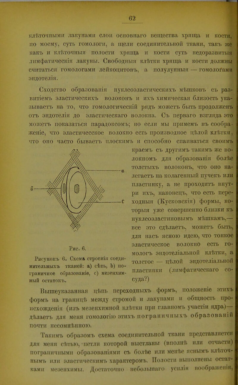 клѣточными лакунами слои основнаго вещества хряща и кости, по моему, суть гомологи, а щели соединительной ткани, такъ -/ке какъ и клѣточныя полости хряща и кости суть недоразвитыя лимфатическія лакуны. Свободныя к.тѣтки хряща и кости должны считаться гомологами лейкоцитовъ, а по.лулунныя — гомологами .чндотелія. Сходство образованія нук.теоэ.ііастическихъ мѣшковт> съ раз- витіемъ .эластическихъ волоконъ и ихъ химическая близость ука- зываем на то, что гомологическій рядъ .мол?етъ быть продолженъ отъ эндотелія до .эластическаго волокна. Съ перваго взгляда это мо:кетъ показаться парадоксомъ; ио если мы примемъ въ сообра- женіе, что эластичесское волокно есть производное цѣлой клѣтки, что оно часто бываетчі плоскимъ и способно спаиваться свои-мъ краемъ съ другимъ такимъ же во- локномъ для образованія болѣе толстыхъ волоконъ, что оно на- легаетъ на колагенный пучекъ или пластинку, а не проходитъ внут- ри ихъ, наконецъ, что есть пере- ходныя (Кусковскія) формы, ко- торыя уже совершенно близки къ нуклеоэластиновы.мъ мѣшкамъ,— все это сдѣлает7>, мо;кетт> быть, для насъ ясною идею, 'гго тонкое .эластическое волокно есть го- мологъ эндотеліа.льной клѣтки, а толсіюе — цѣлой эндотеліальной пластинки (лимфатическаго со- суда?) Вышеуказанная цѣпь переходныхъ формъ, положеніе этихъ формъ на границѣ между стромой и лакунами и общность про- исхожденія (изъ мезенхимной клѣтки при главномъ участіи ядра) дѣлаеть для меня іюмологііо этихъ пограничныхъ образованій почти несомнѣнною. Ч'акимъ образомъ схема соединительной ткани представляется дл}[ меня сѣтью, •петли которой ныст.ланы (вполнѣ или от^іасти) пограиичігыми образованіями сѣ болѣе или менѣе яснымъ клѣточ- нымт. пли эластическимъ характеромъ. Полости выполнены остат- ками мезенхимы. Достаточно неболынаго усилія воображенія, Рисунокъ 6. Схема строенія соеди- нительныхъ тканей: а) сѣть, ѣ) по- граничное образованіе, с) мезенхим- ный остатокъ.