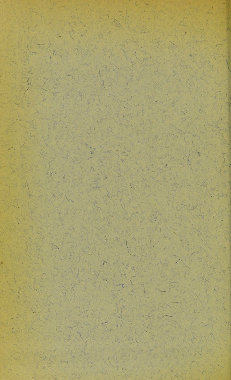 ;