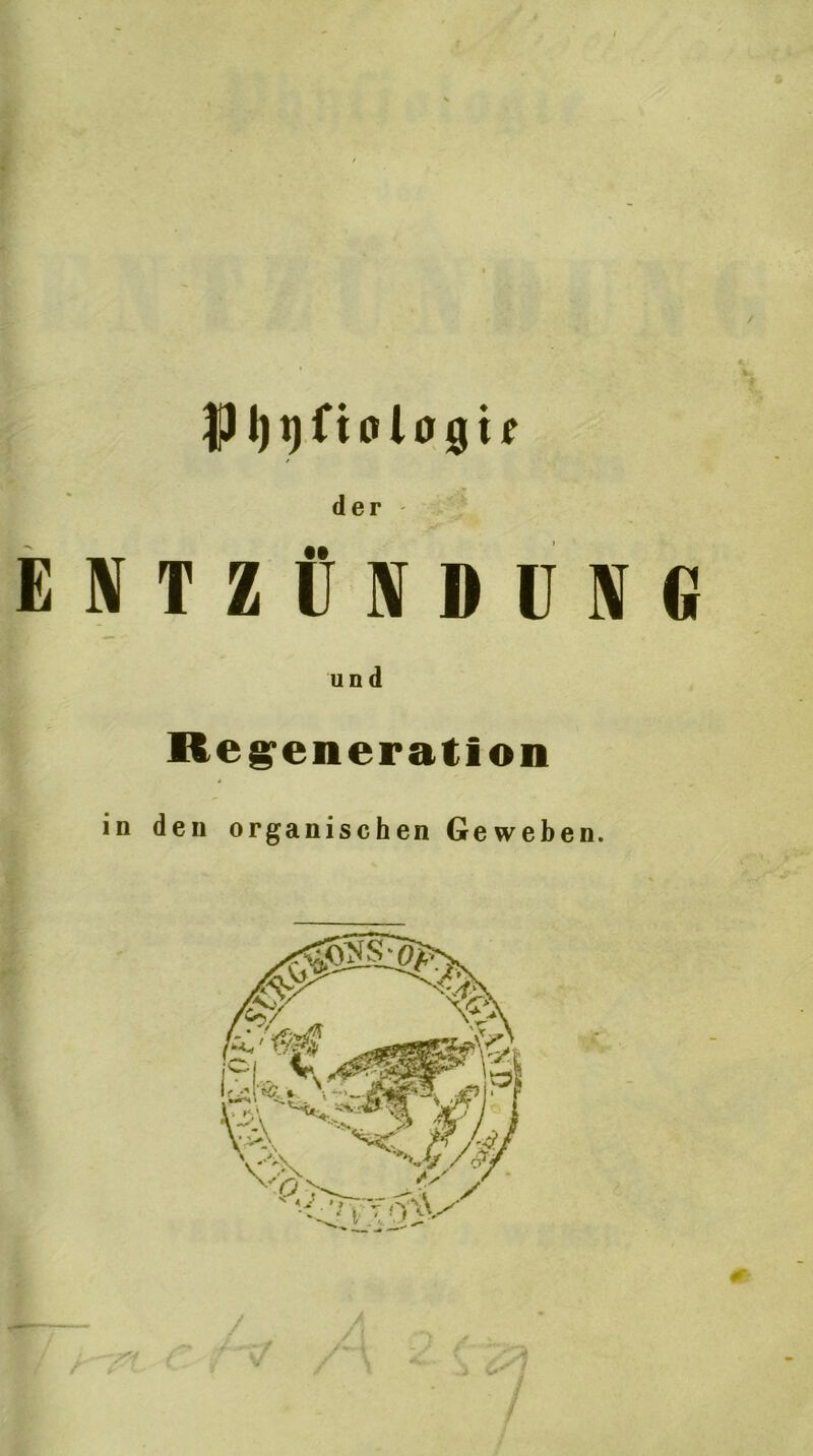 I $i)t)n<ji00u der ENTZÜNDUNG und Regeneration in den organischen Geweben.