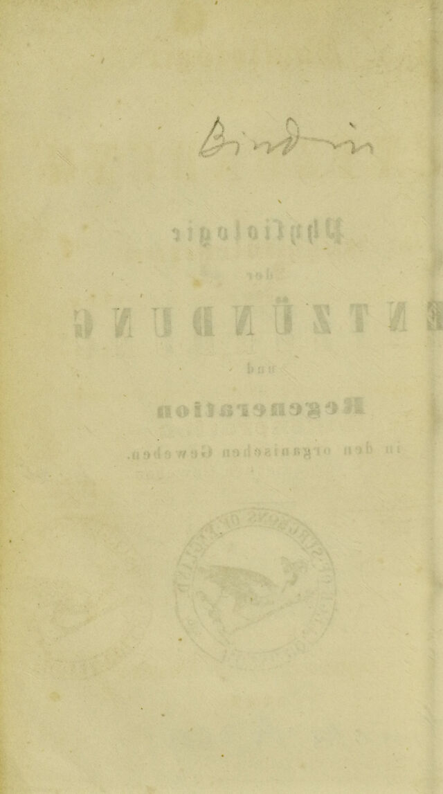 digitised image 2