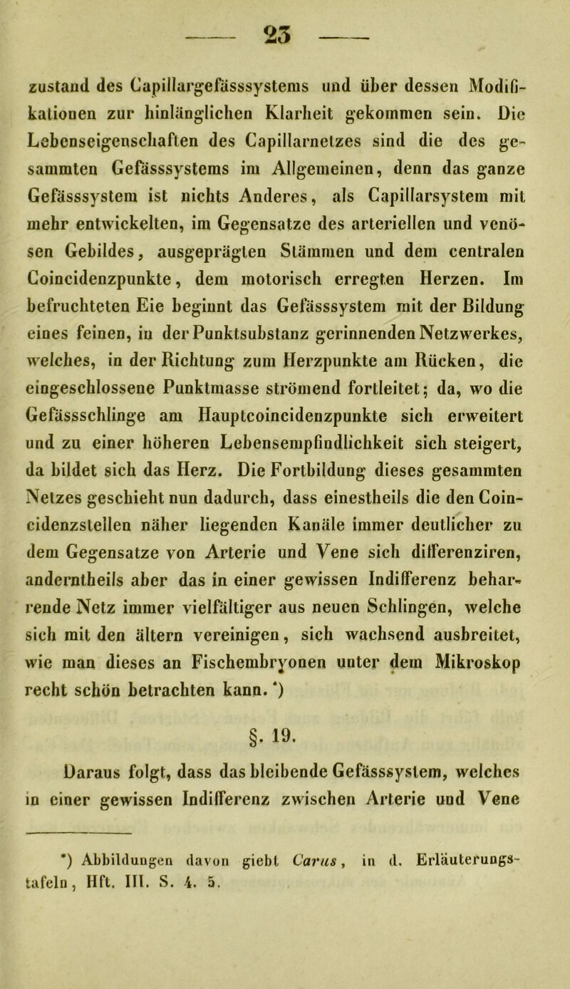 zustaud des Capillargefässsystems und über dessen Modifi- kationen zur hinlänglichen Klarheit gekommen sein. Die Lebcnseigenschaflen des Capillarnetzes sind die des ge- sammten Gefässsystems im Allgemeinen, denn das ganze Gefässsystem ist nichts Anderes, als Capillarsystem mit mehr entwickelten, im Gegensätze des arteriellen und venö- sen Gebildes, ausgeprägten Stämmen und dem centralen Goincidenzpunkte, dem motorisch erregten Herzen. Im befruchteten Eie beginnt das Gefässsystem mit der Bildung eines feinen, in der Punktsubstanz gerinnenden Netzwerkes, welches, in der Richtung zum Herzpunkte am Rücken, die eingeschlossene Punktmasse strömend fortleitet; da, wo die Gefässschlinge am Hauptcoincidenzpunkte sich erweitert und zu einer höheren Lebensempfindlichkeit sich steigert, da bildet sich das Herz. Die Fortbildung dieses gesammten Netzes geschieht nun dadurch, dass einestheils die den Coin- cidenzstellen näher liegenden Kanäle immer deutlicher zu dem Gegensätze von Arterie und Vene sich ditferenziren, andcrntheils aber das in einer gewissen Indifferenz behar- rende Netz immer vielfältiger aus neuen Schlingen, welche sich mit den ältern vereinigen, sich wachsend ausbreitet, wie man dieses an Fischembryonen unter dein Mikroskop recht schön betrachten kann. *) §. 19. Daraus folgt, dass das bleibende Gefässsystem, welches in einer gewissen Indifferenz zwischen Arterie und Vene ’) Abbildungen davon giebt Cartis, in d. Erläuterungs- tafeln, Hft. III. S. 4. 5.