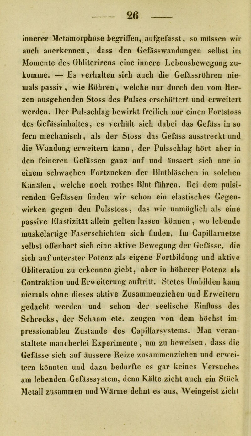 innerer Metamorphose begriffen, aufgefasst, so müssen wir auch anerkennen, dass den Gefässwandimgen selbst im Momente des Obliterirens eine innere Lebensbewegung zu- komme. — Es verhalten sich auch die Gefässröhrcn nie- mals passiv, wie Röhren, welche nur durch den vom Her- zen ausgehenden Stoss des Pulses erschüttert und erweitert werden. Der Pulsschlag bewirkt freilich nur einen Fortstoss des Gefässinhaltes, es verhält sich dabei das Gefäss in so fern mechanisch, als der Stoss das Gefäss ausstreckt und die Wandung erweitern kann, der Pulsschlag hört aber in den feineren Gefässen ganz auf und äussert sich nur in einem schwachen Fortzucken der Blulbläschcn in solchen Kanälen, welche noch rothes Blut führen. Bei dem pulsi- renden Gefässen finden wir schon ein elastisches Gegen- wirken gegen den Pulsstoss, das wir unmöglich als eine passive Elastizität allein gelten lassen können , wo lebende muskelartige Faserschichten sich finden, Im Capillarnetze selbst offenbart sich eine aktive Bewegung der Gefasse, die sich auf unterster Potenz als eigene Fortbildung und aktive Obliteration zu erkennen giebt, aber in höherer Potenz als Contraktion und Erweiterung auftritt. Stetes Umbilden kann niemals ohne dieses aktive Zusammenzichen und Erweitern gedacht werden und schon der seelische Einfluss des Schrecks, der Schaam etc. zeugen von dem höchst im- pressionablen Zustande des Capillarsyslems. Man veran- staltete mancherlei Experimente, um zu beweisen, dass die Gefässe sich auf äussere Reize zusammenziehen und erwei- tern könnten und dazu bedurfte es gar keines Versuches am lebenden Gefässsystem, denn Kälte zieht auch ein Stück Metall zusammen und Wärme dehnt es aus, Weingeist zieht