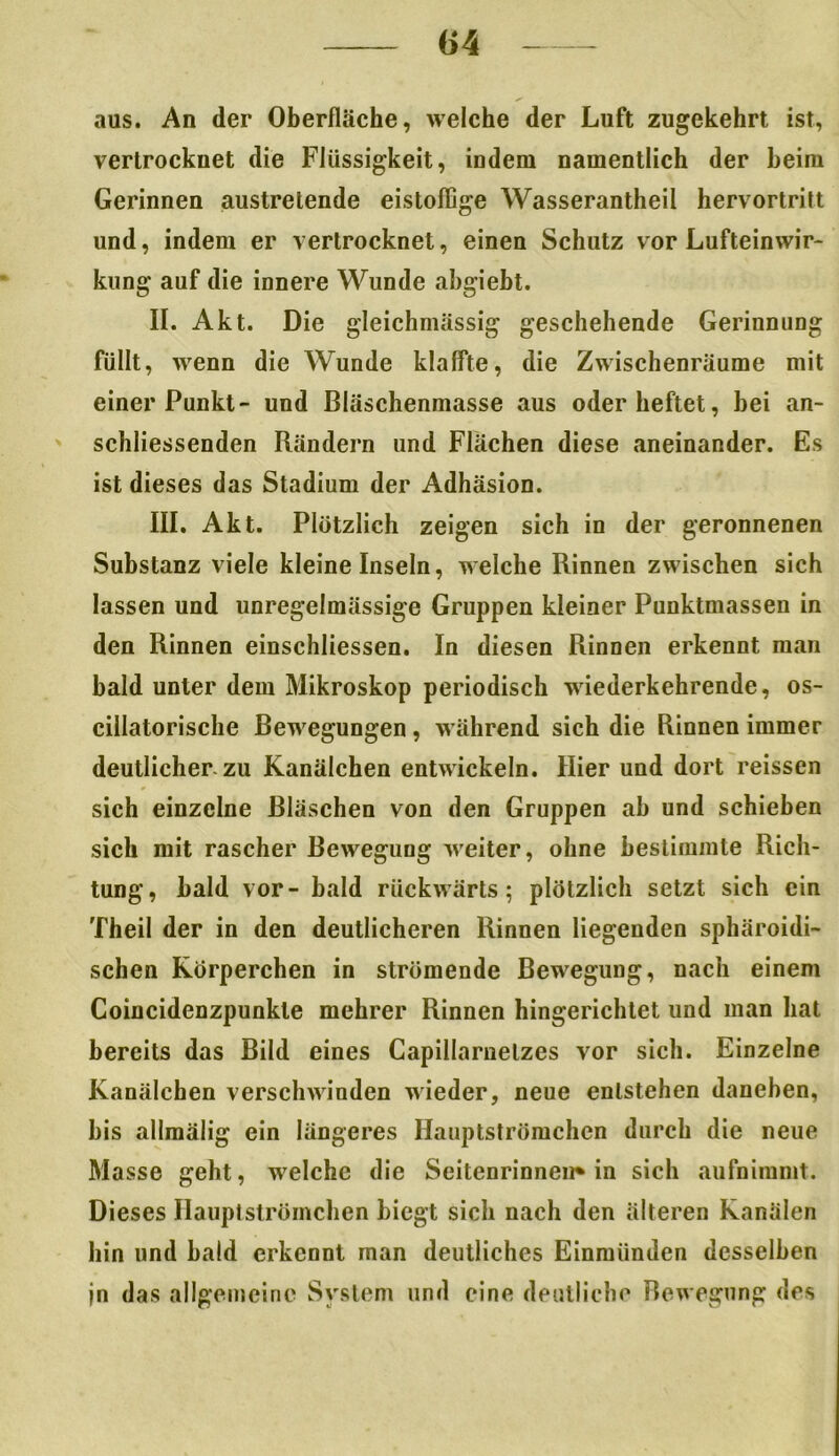aus. An der Oberfläche, welche der Luft zugekehrt ist, vertrocknet die Flüssigkeit, indem namentlich der heim Gerinnen austrelende eistoffige Wasserantheil hervortritt und, indem er vertrocknet, einen Schutz vor Lufteinwir- kung auf die innere Wunde ahgiebt. II. Akt. Die gleichmässig geschehende Gerinnung füllt, wenn die Wunde klaffte, die Zwischenräume mit einer Punkt- und Bläschenmasse aus oder heftet, hei an- schliessenden Rändern und Flächen diese aneinander. Es ist dieses das Stadium der Adhäsion. III. Akt. Plötzlich zeigen sich in der geronnenen Substanz viele kleine Inseln, welche Rinnen zwischen sich lassen und unregelmässige Gruppen kleiner Punktmassen in den Rinnen einschliessen. In diesen Rinnen erkennt man bald unter dem Mikroskop periodisch wiederkehrende, os- cillatorische Bewegungen, während sich die Rinnen immer deutlicher-zu Kanälchen entwickeln. Hier und dort reissen sich einzelne Bläschen von den Gruppen ah und schieben sich mit rascher Bewegung weiter, ohne bestimmte Rich- tung, bald vor- bald rückwärts; plötzlich setzt sich ein Theil der in den deutlicheren Rinnen liegenden sphäroidi- schen Körperchen in strömende Bewegung, nach einem Coincidenzpunkle mehrer Rinnen hingerichlet und man hat bereits das Bild eines Capillarnelzes vor sich. Einzelne Kanälchen verschwinden wieder, neue entstehen daneben, bis allmälig ein längeres Hauptströmchen durch die neue Masse geht, welche die Seitenrinnen* in sich aufnimnit. Dieses Hauptströmchen biegt sich nach den älteren Kanälen hin und bald erkennt man deutliches Einmünden desselben jn das allgemeine System und eine deutliche Bewegung des
