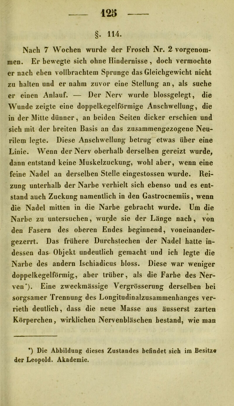 12S 4 §■ H4. Nach 7 Wochen wurde der Frosch Nr. 2 vorgenom- men. Er bewegte sich ohne Hindernisse , doch vermochte er nach eben vollbrachtem Sprunge das Gleichgewicht nicht zu halten und er nahm zuvor eine Stellung an, als suche er einen Anlauf. — Der Nerv wurde blossgelegt, die Wunde zeigte eine doppelkegelförmige Anschwellung, die in der Mitte dünner, an beiden Seiten dicker erschien und sich mit der breiten Basis an das zusammengezogene Neu- rilem legte. Diese Anschwellung betrug etwas über eine Linie. Wenn der Nerv oberhalb derselben gereizt wurde, dann entstand keine Muskelzuckung, wohl aber, wenn eine feine Nadel an derselben Stelle eingestossen wurde. Rei- zung unterhalb der Narbe verhielt sich ebenso und es ent- stand auch Zuckung namentlich in den Gastrocnemiis, wenn die Nadel mitten in die Narbe gebracht wurde. Um die Narbe zu untersuchen, wurde sie der Länge nach, von den Fasern des oberen Endes beginnend, voneinander- gezerrt. Das frühere Durchstechen der Nadel hatte in- dessen das Objekt undeutlich gemacht und ich legte die Narbe des andern Ischiadicus bloss. Diese war weniger doppelkegelförmig, aber trüber, als die Farbe des Ner- ven*). Eine zweckmässige Vergrösserung derselben bei sorgsamer Trennung des Longitudinalzusammenhanges ver- rielh deutlich, dass die neue Masse aus äusserst zarten Körperchen, wirklichen Nervenbläschen bestand, wie man *) Die Abbildung dieses Zustandes befindet sich im Besitze der Leopold. Akademie.