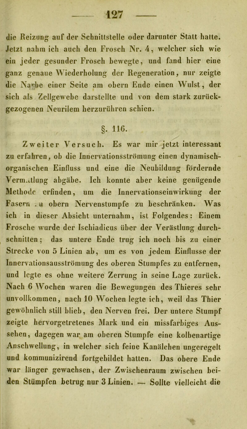 die Reizung auf der Schnittstelle oder darunter Statt hatte. Jetzt nahm ich auch den Frosch Nr. 4, welcher sich wie ein jeder gesunder Frosch bewegte, und fand hier eine ganz genaue Wiederholung der Regeneration, nur zeigte die Narbe einer Seite am obern Ende einen Wulst, der sich als Zellgewebe darstellte und von dem stark zurück- gezogenen Neurilem herzurühren schien. §. 116. Zweiter Versuch. Es war mir jetzt interessant zu erfahren, ob die Innervationsströmung einen dynamisch- organischen Einfluss und eine die Neubildung fördernde Verm.itlung abgäbe. Ich konnte aber keine genügende Methode erfinden, um die Innervationseinwirkung der Fasern . u obern Nervenstumpfe zu beschränken. Was ich in dieser Absicht unternahm, ist Folgendes: Einem Frosche wurde der Ischiadicus über der Verästlung durch- schnitten ; das untere Ende trug ich noch bis zu einer Strecke von 5 Linien ab, um es von jedem Einflüsse der Innervationsausströmung des oberen Stumpfes zu entfernen, und legte es ohne weitere Zerrung in seine Lage zurück. Nach 6 Wochen waren die Bewegungen des Thieres sehr unvollkommen, nach 10 Wochen legte ich, weil das Thier gewöhnlich still blieb, den Nerven frei. Der untere Stumpf zeigte hervorgetretenes Mark und ein missfarbiges Aus- sehen, dagegen war am oberen Stumpfe eine kolbenartige Anschwellung, in welcher sich feine Kanälchen ungeregelt und kommunizirend fortgebildet hatten. Das obere Ende war länger gewachsen, der Zwischenraum zwischen bei- den Stümpfen betrug nur 3 Linien. — Sollte vielleicht die